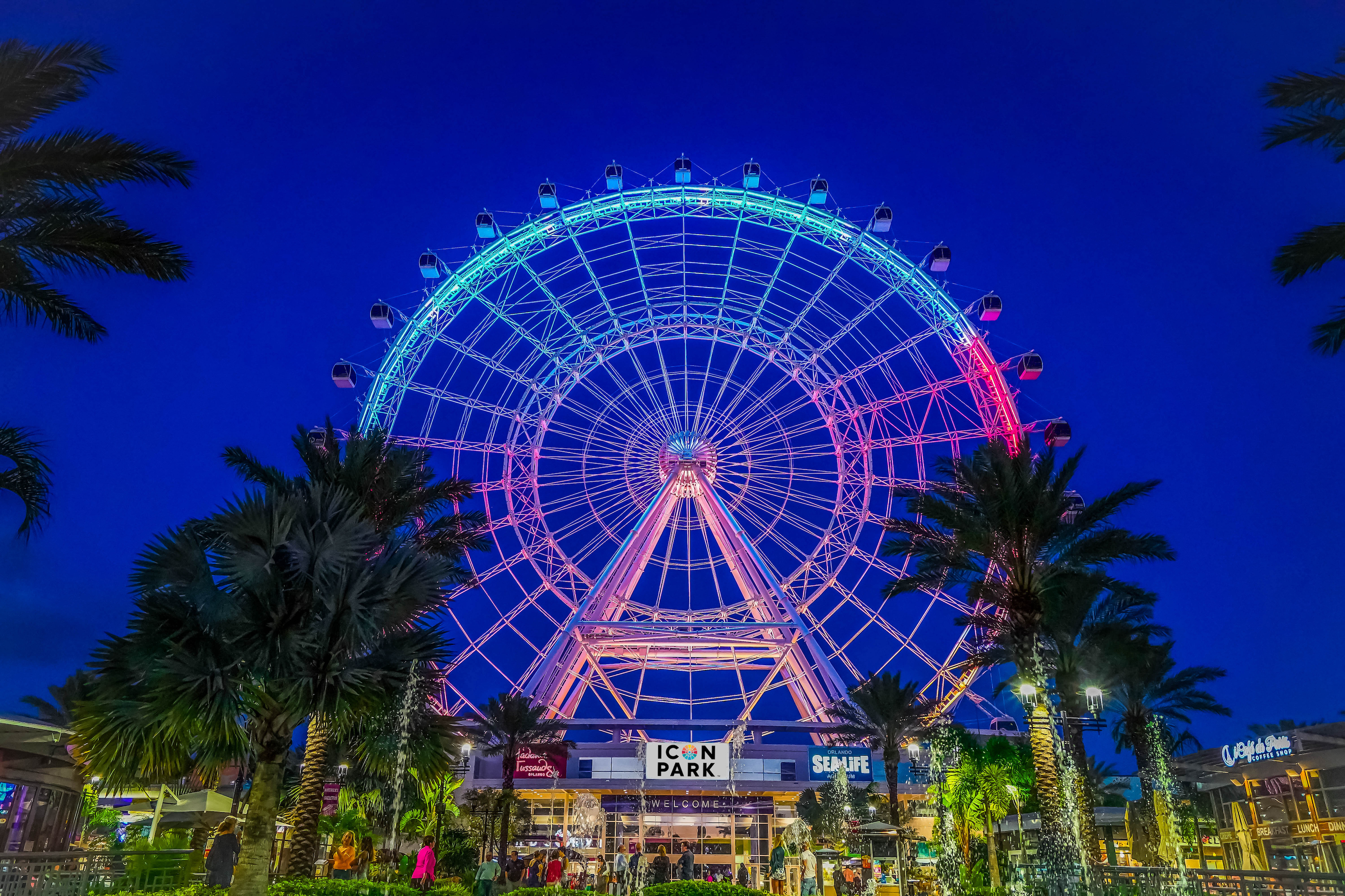 Downtown Orlando At Night Wallpapers