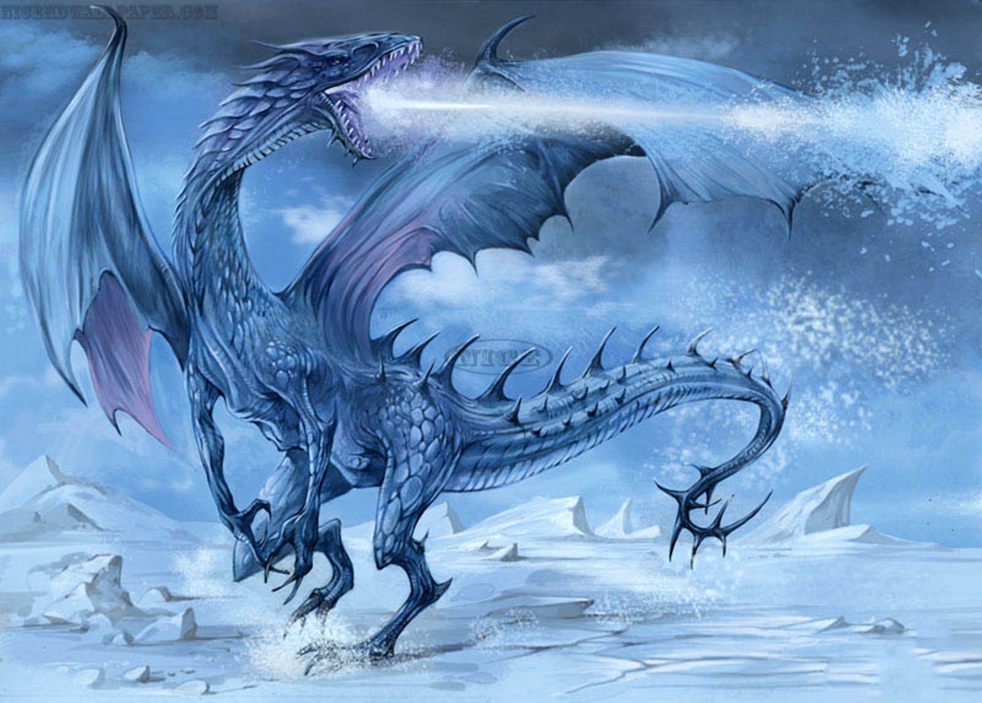 Dragon In Ice Wallpapers