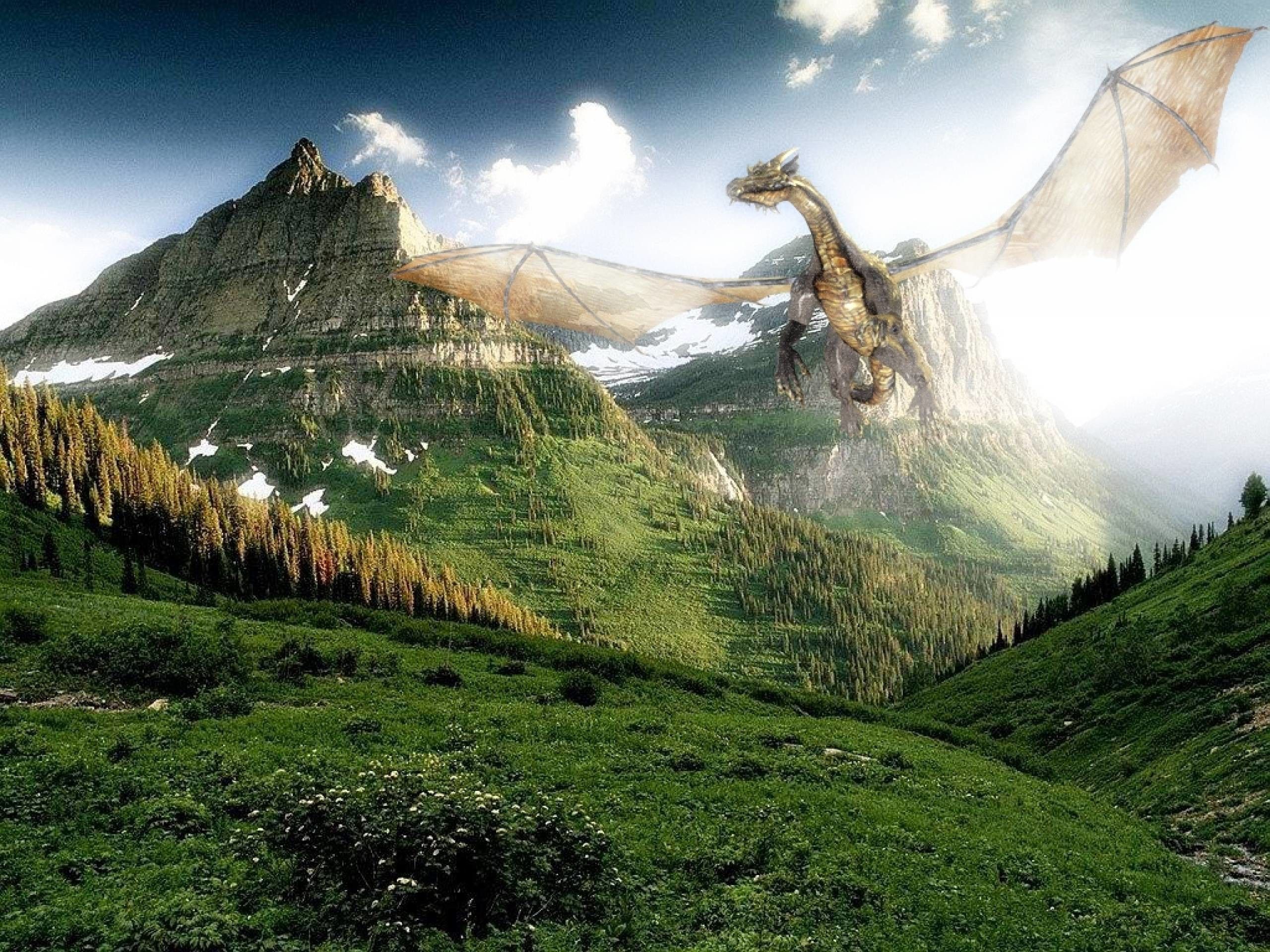 Dragon Landscape Wallpapers