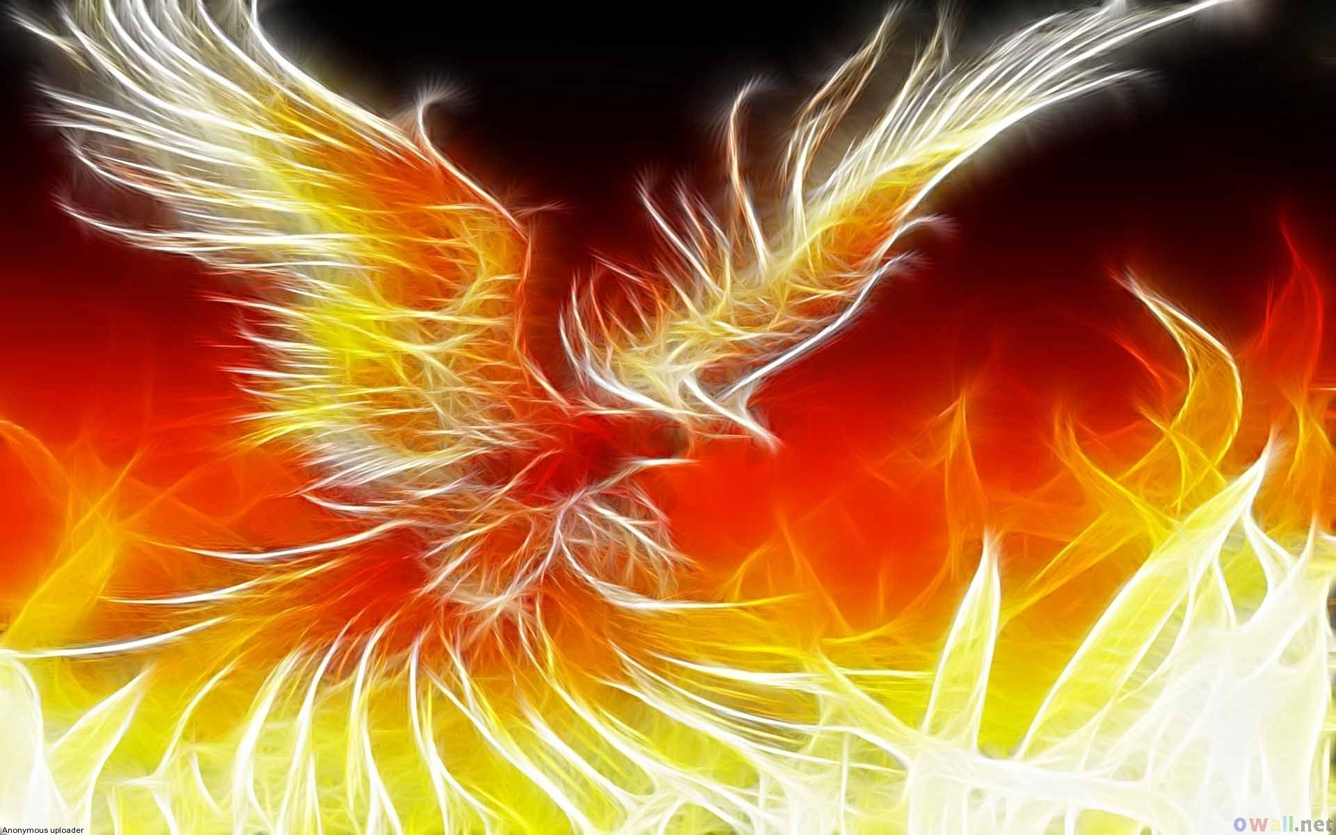 Dragon Phoenix Wallpapers