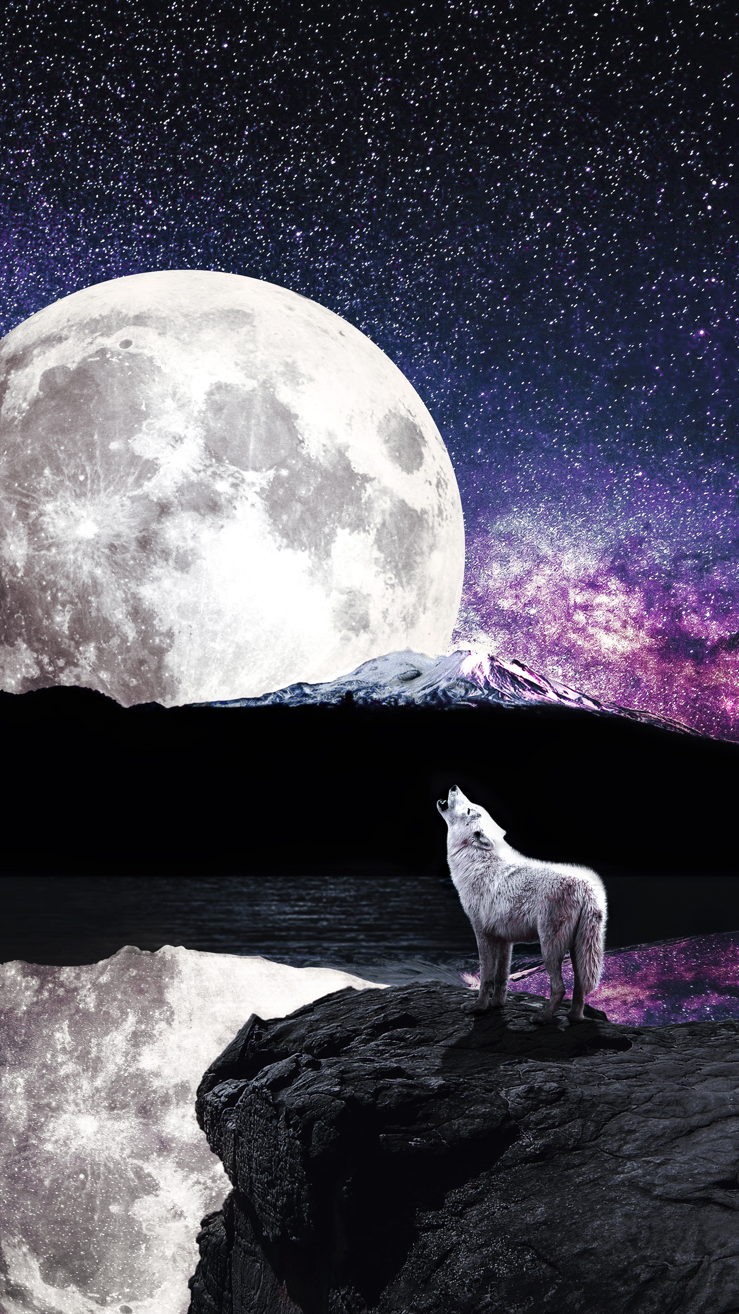 Dream Catcher Wolf Wallpapers