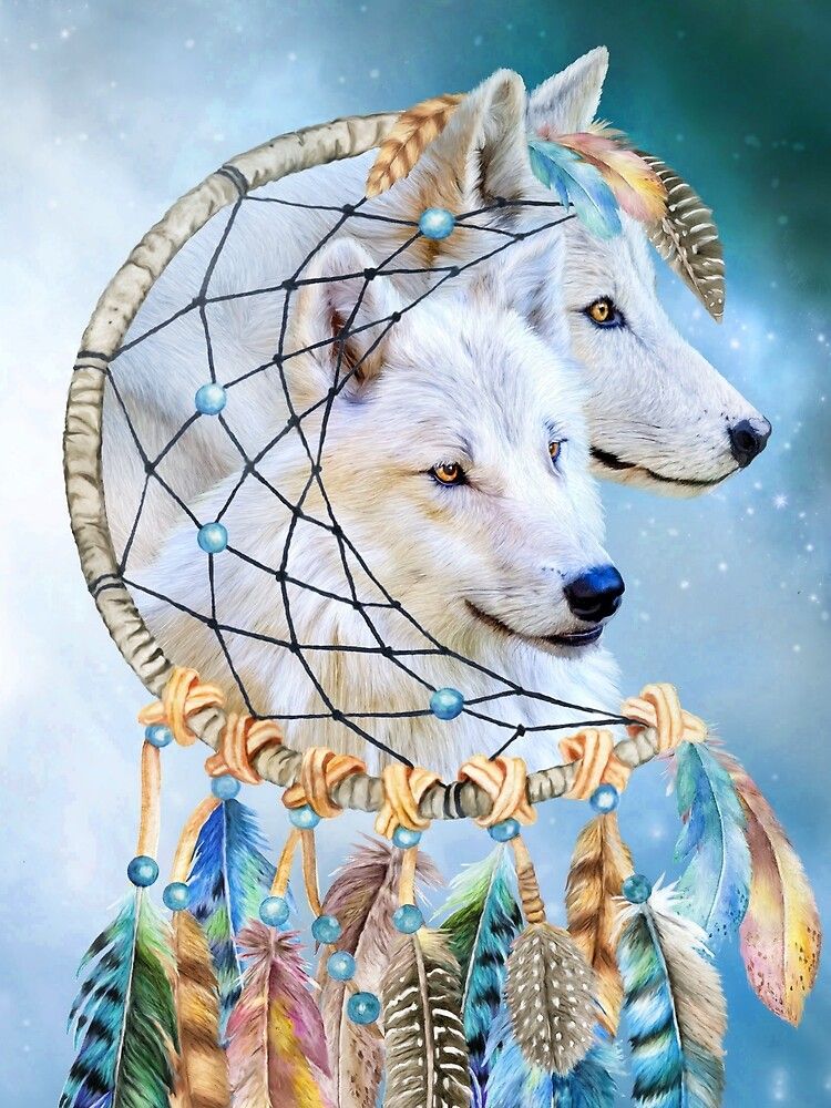 Dream Catcher Wolf Wallpapers