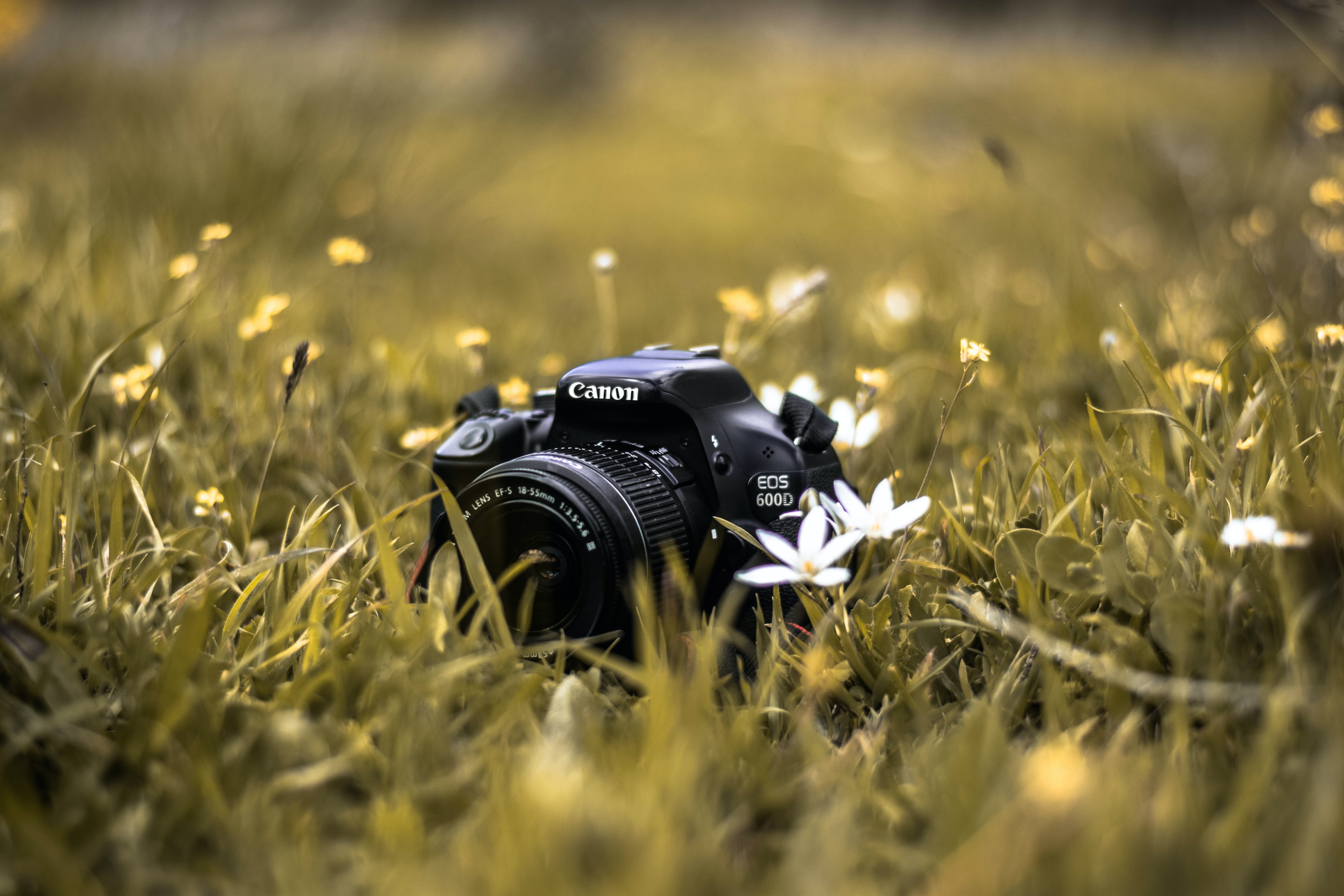 Dslr Wallpapers