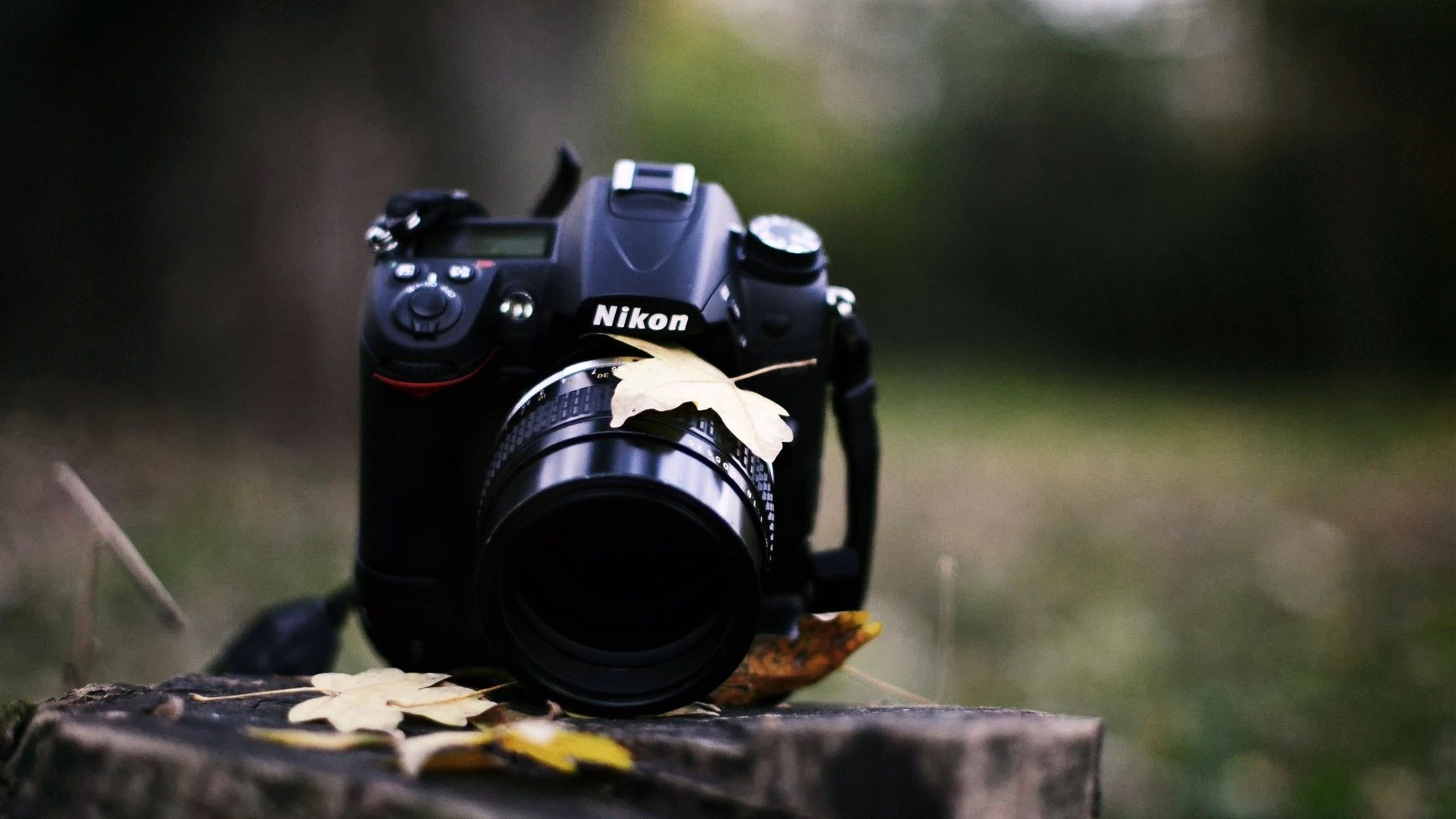 Dslr Wallpapers