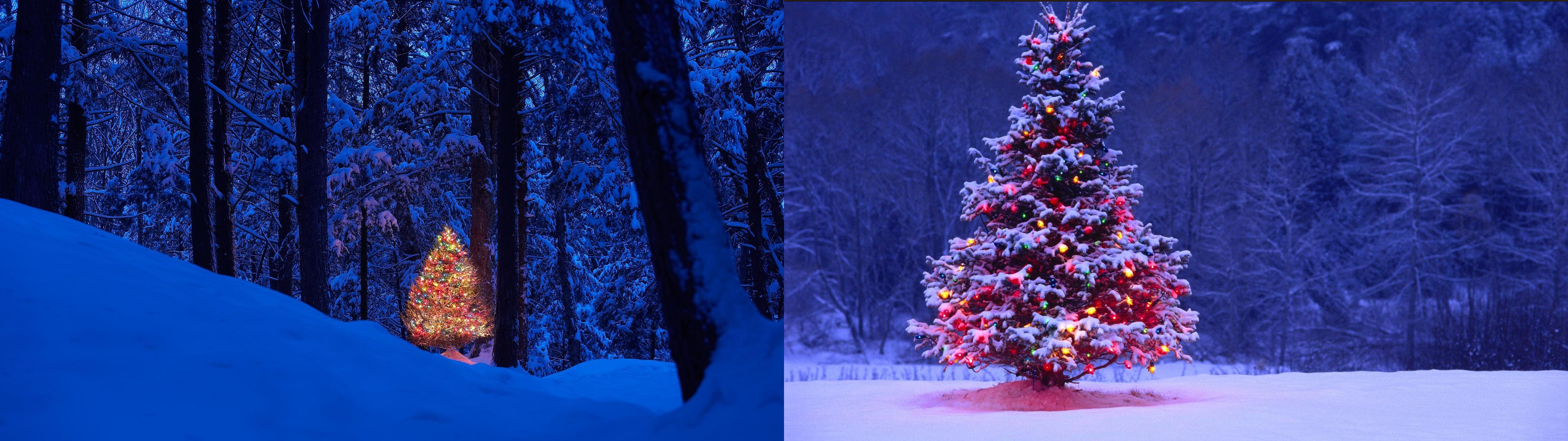 Dual Monitor Winter Wallpapers