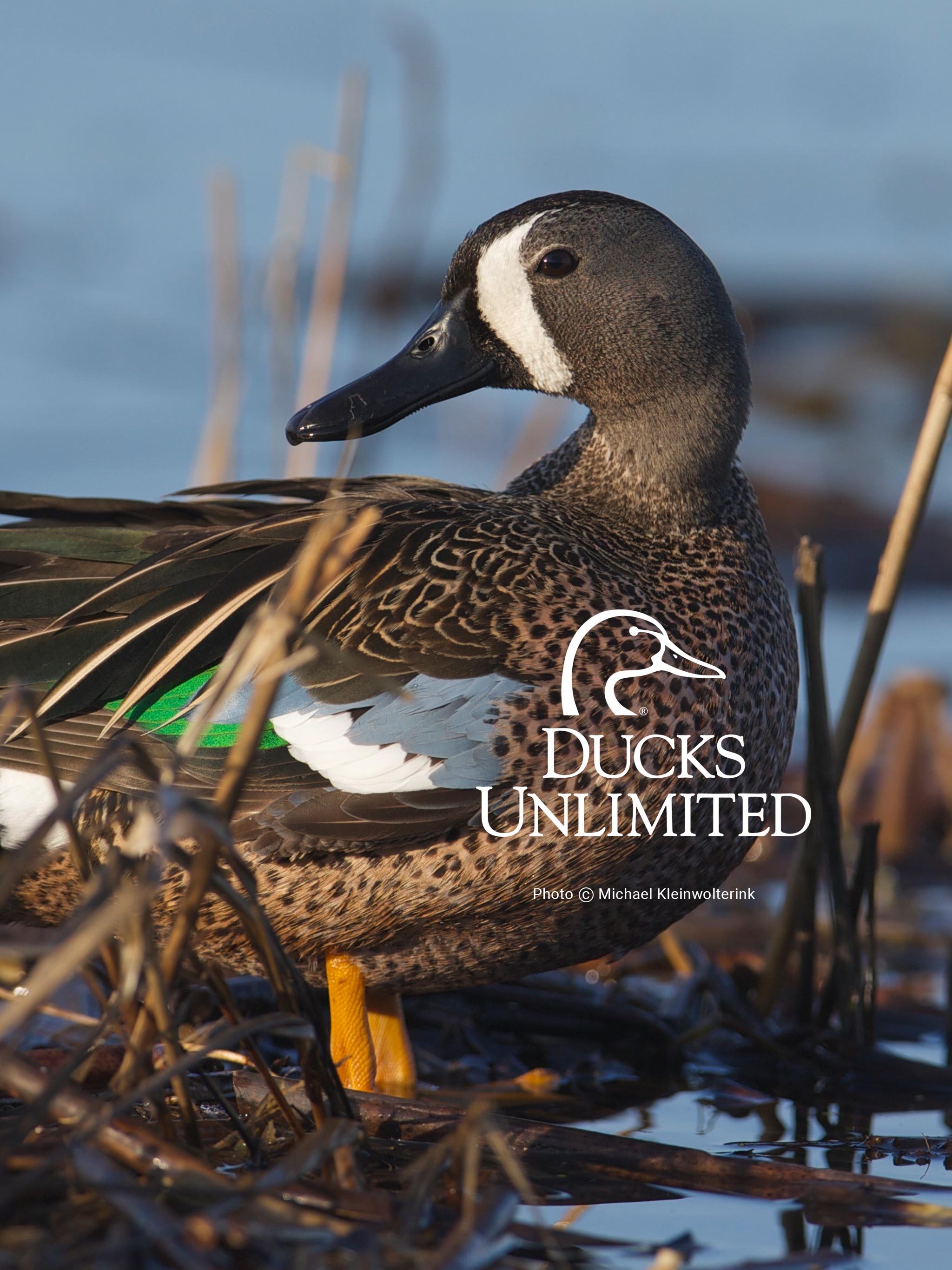 Duck Hunting Camo Wallpapers