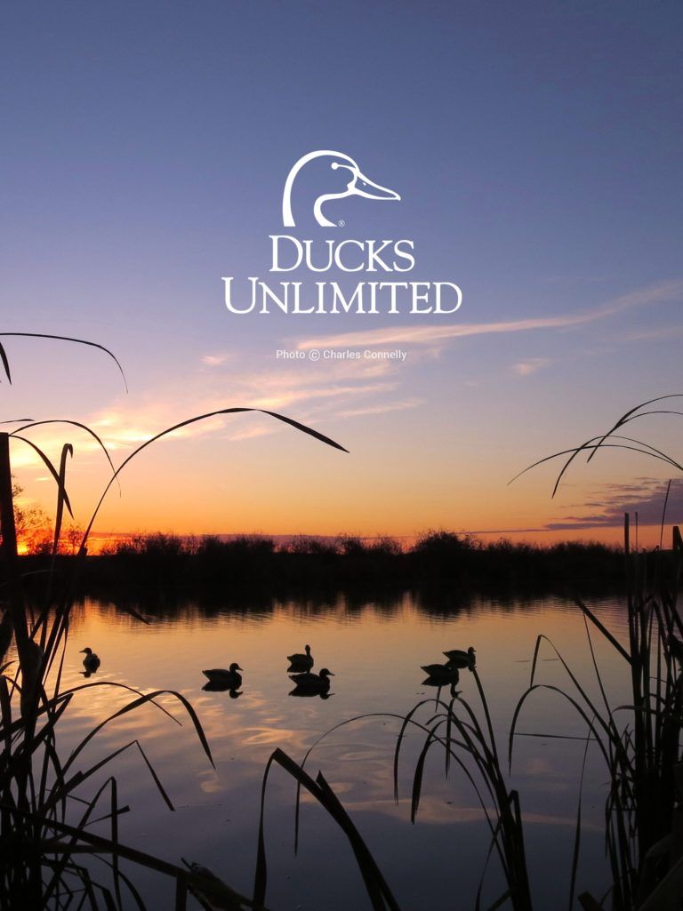 Duck Hunting Camo Wallpapers
