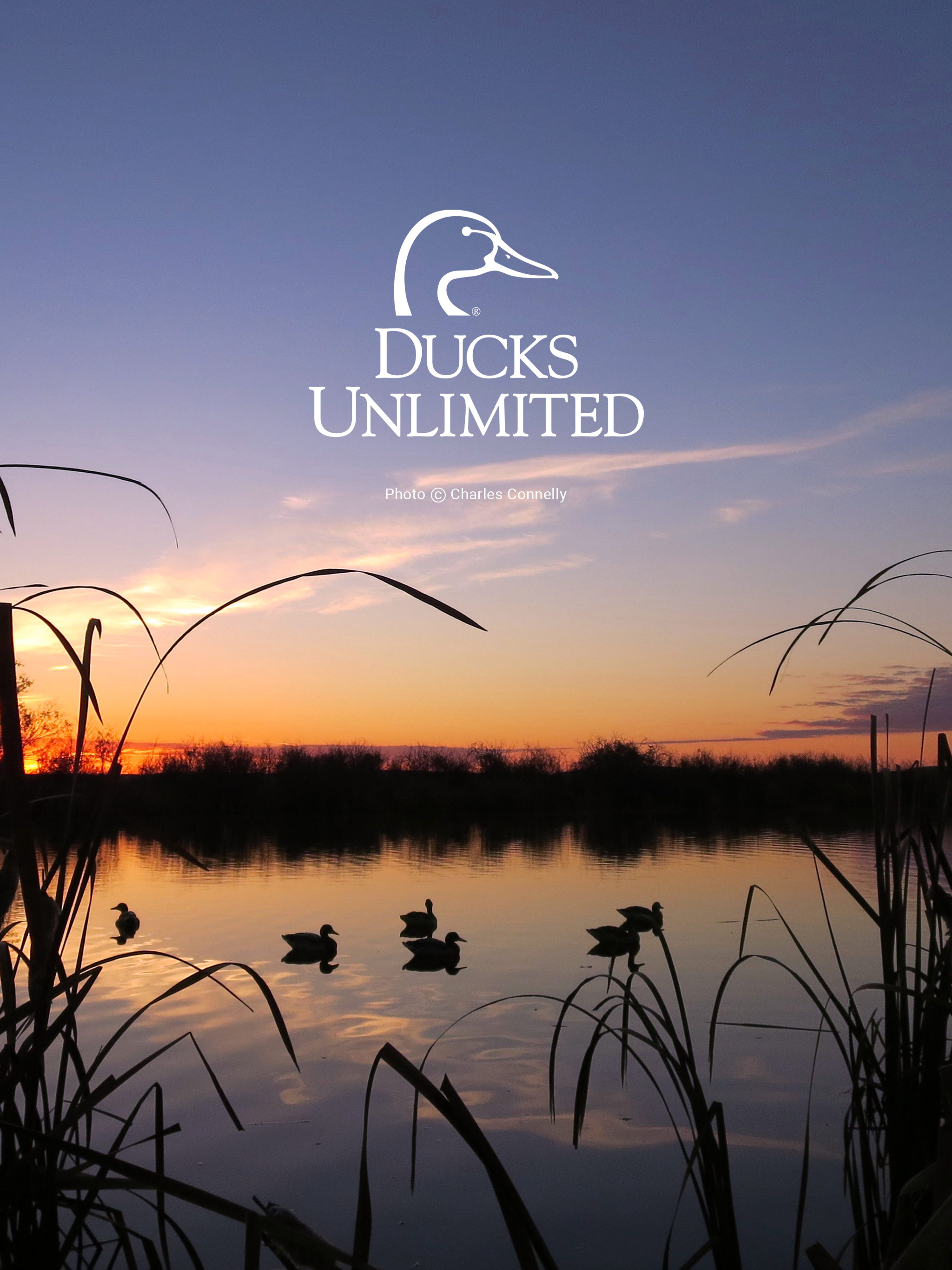 Duck Hunting Wallpapers