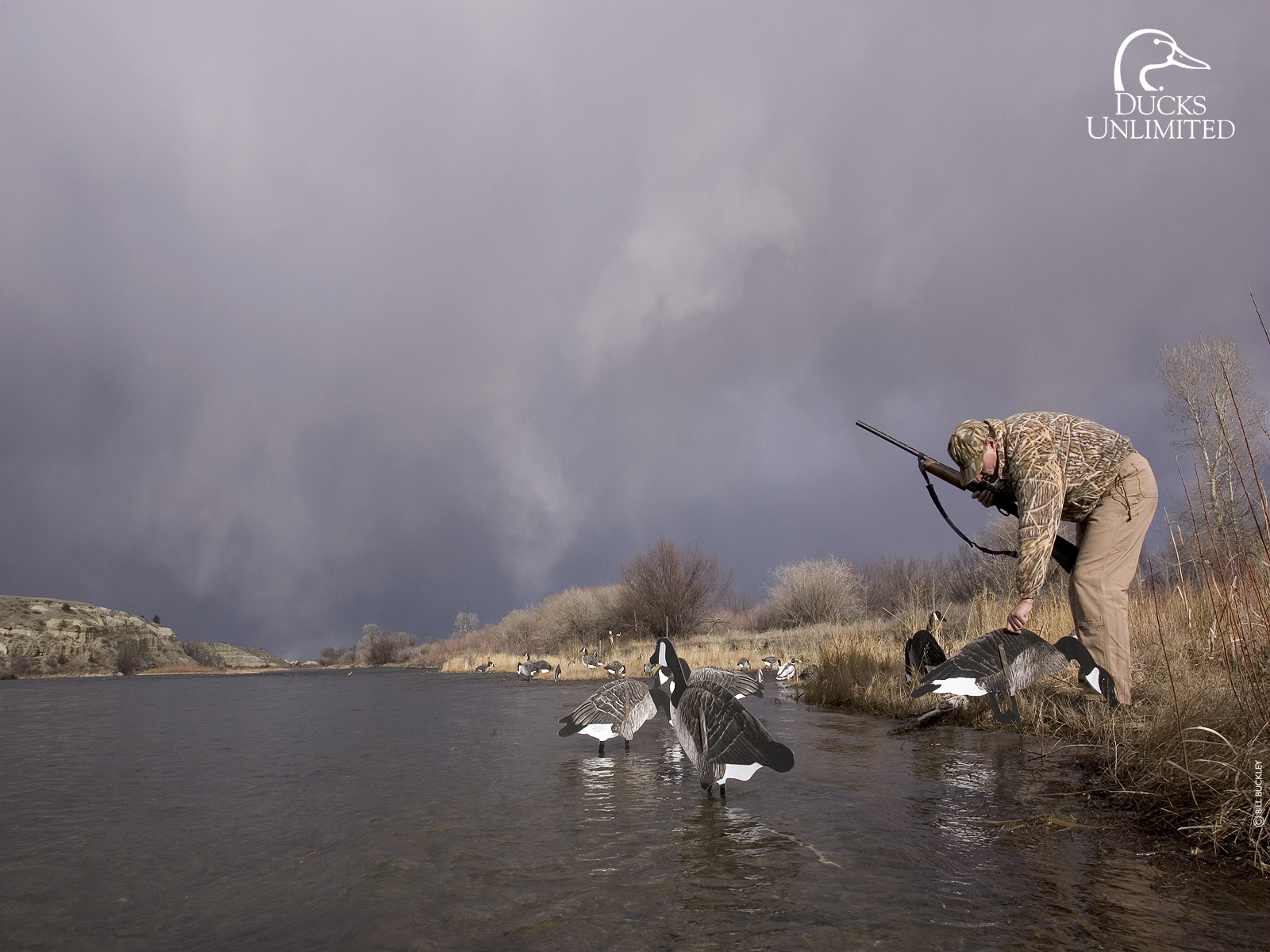 Ducks Unlimited Wallpapers