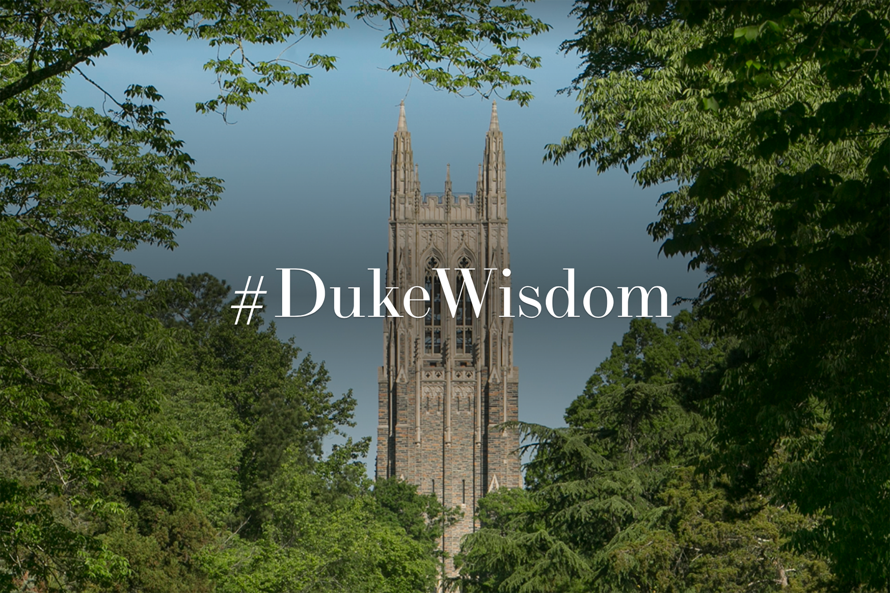 Duke University Wallpapers