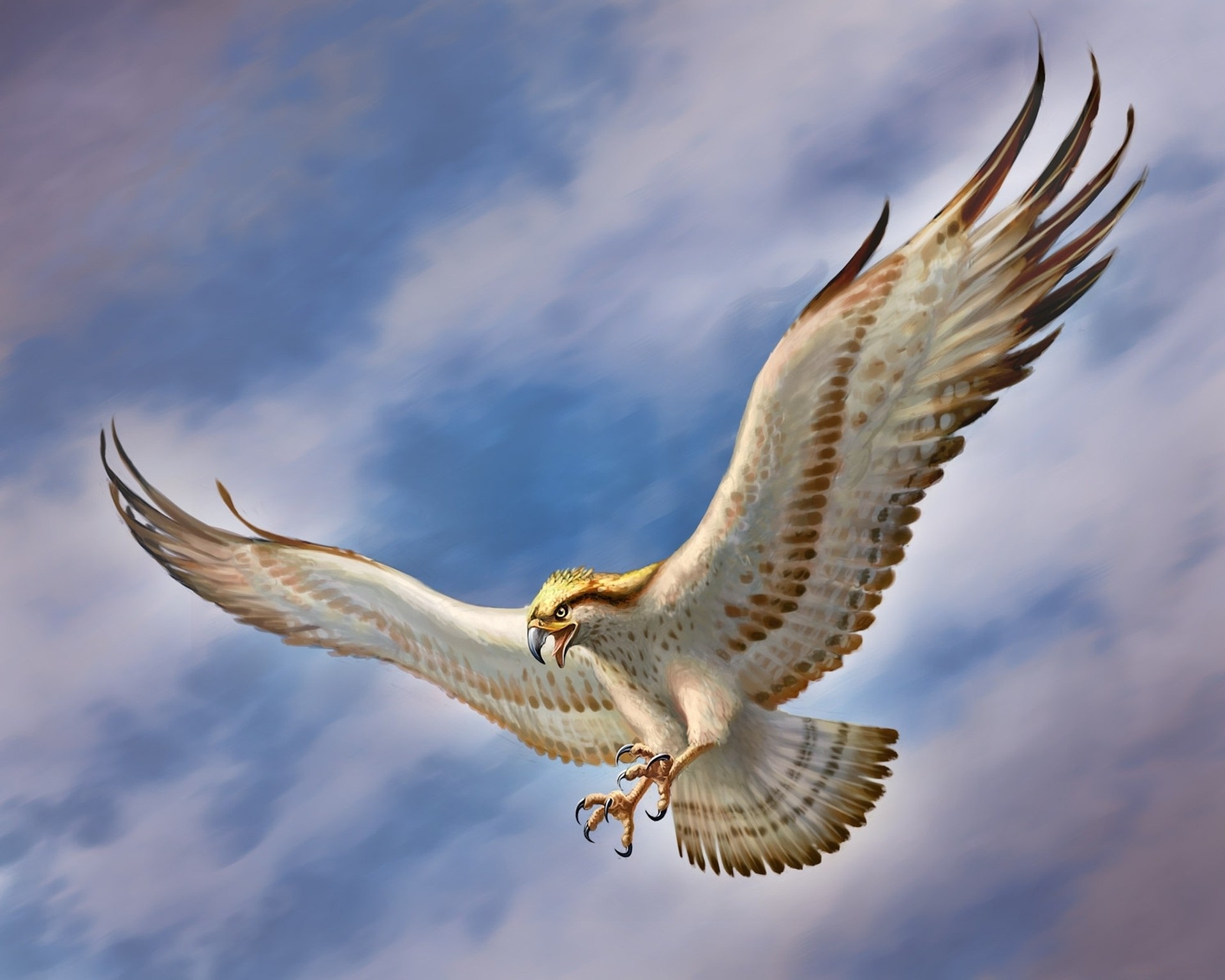 Eagle Hd Wallpapers