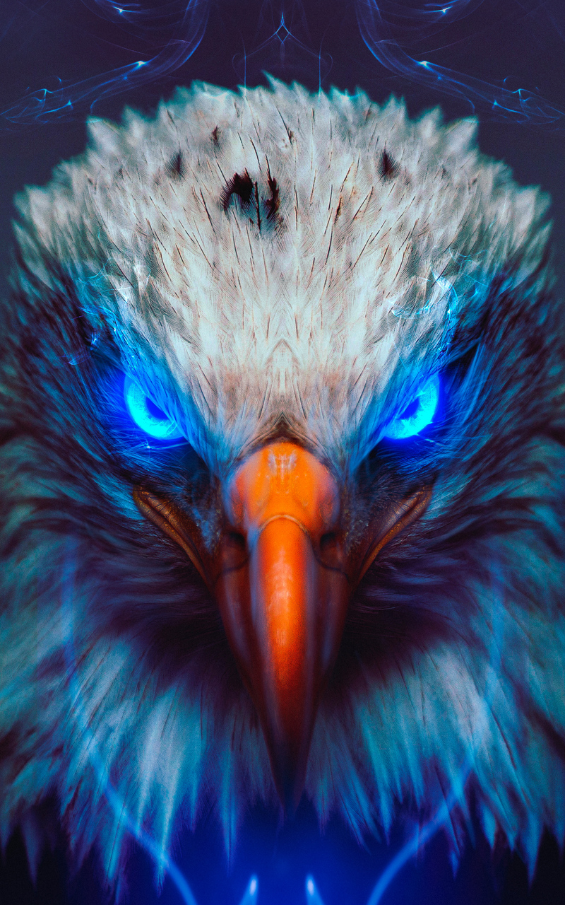 Eagle For Android Wallpapers