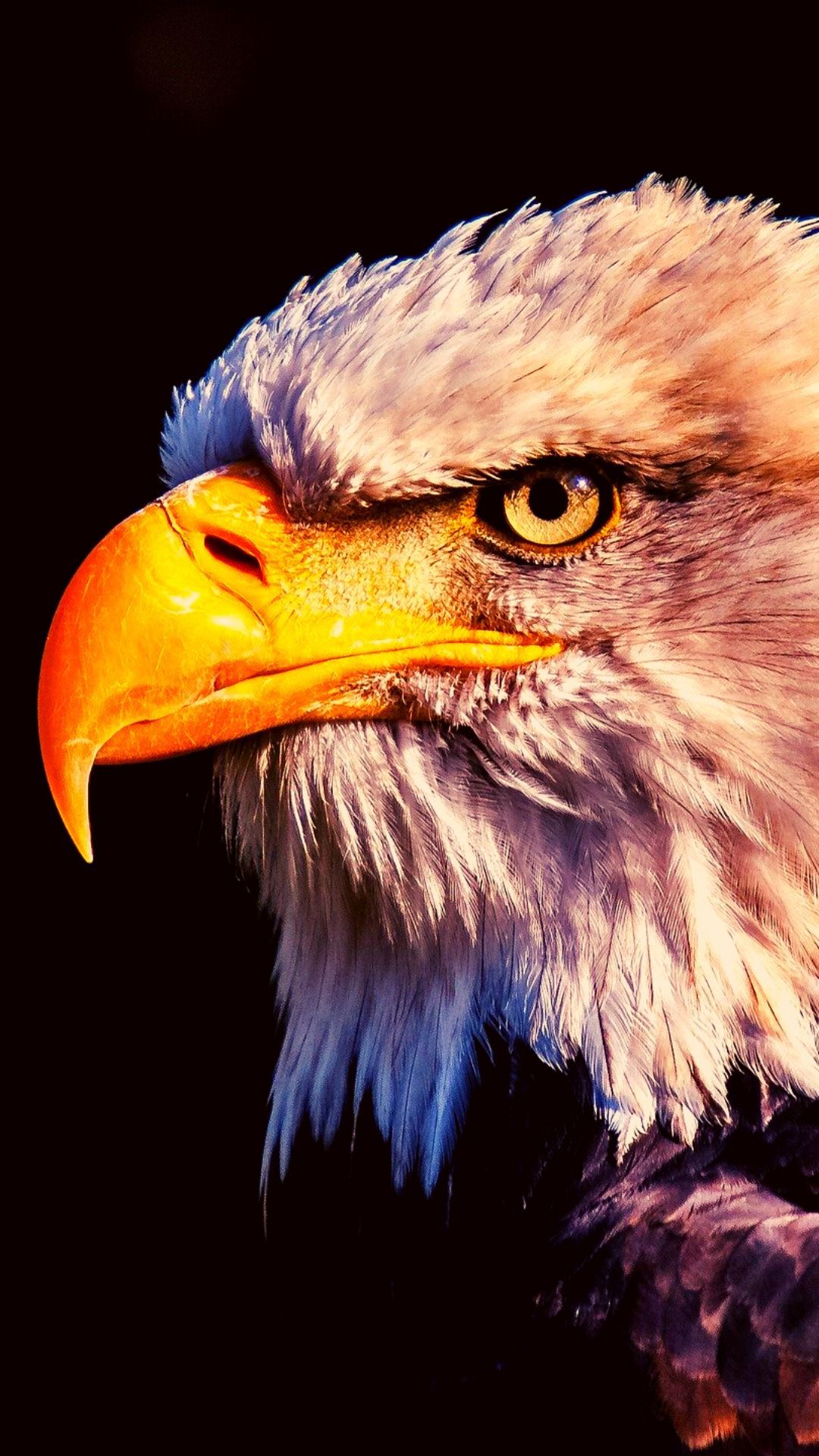 Eagle Iphone Wallpapers