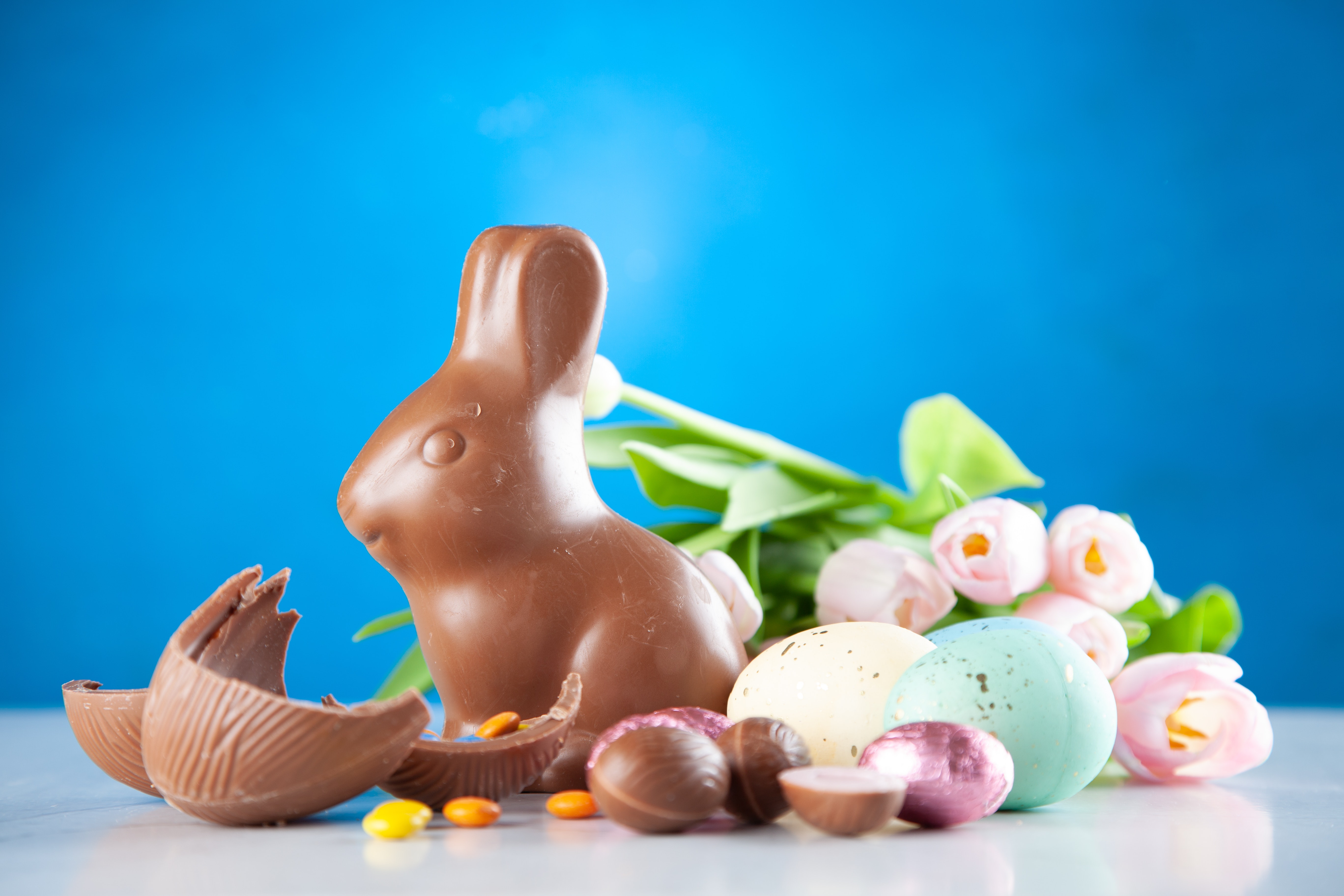 Easter Animal Images Wallpapers