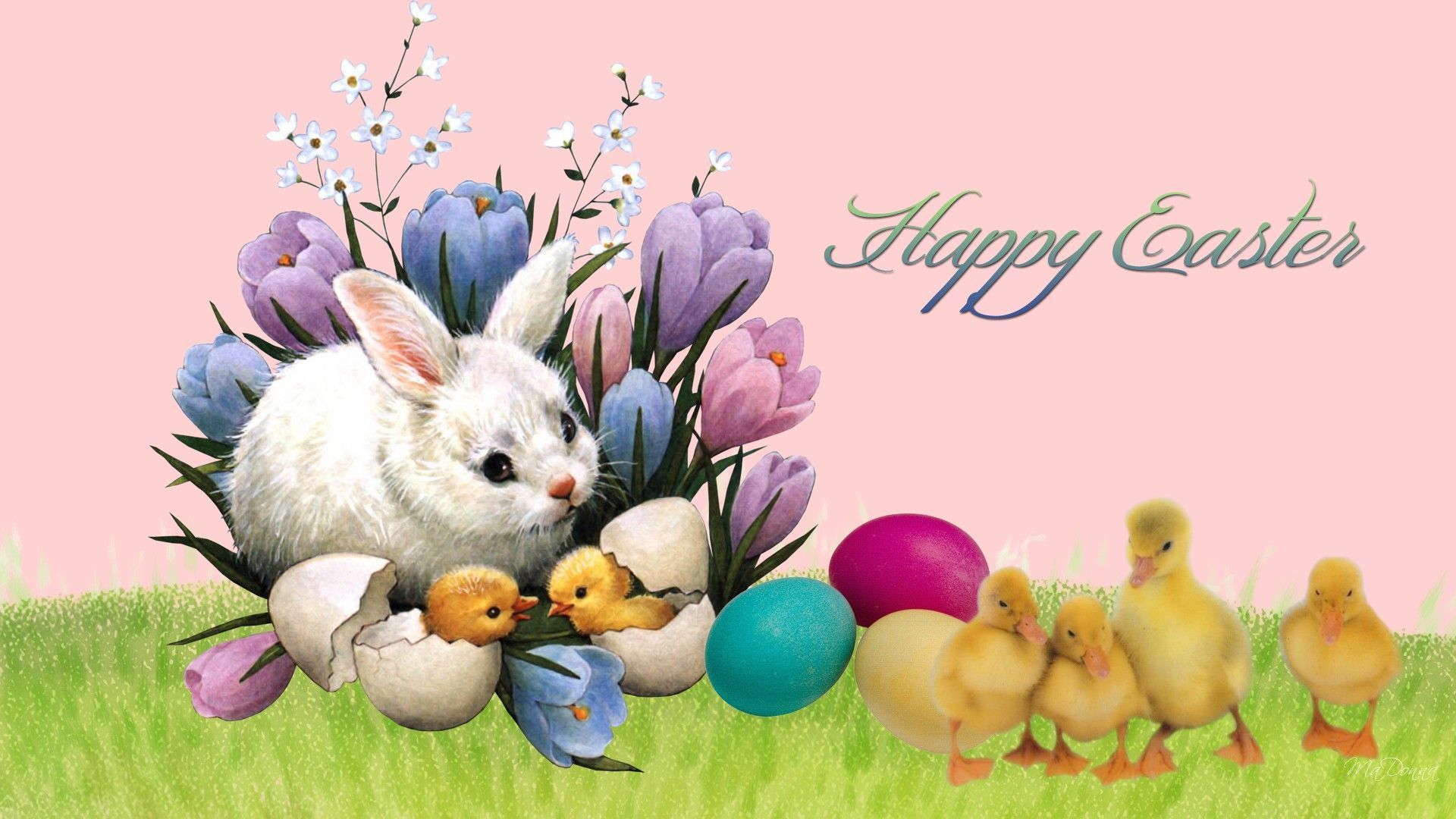 Easter Bunnies Wallpapers