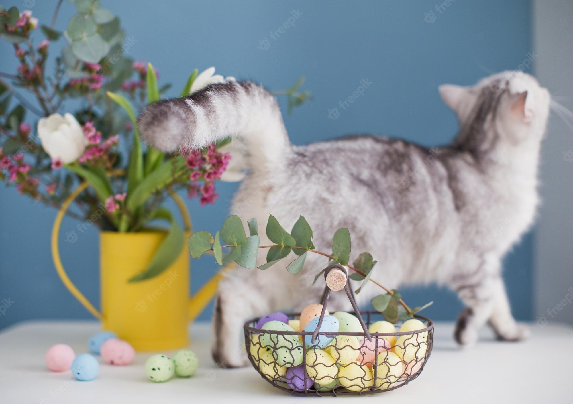 Easter Cat Wallpapers