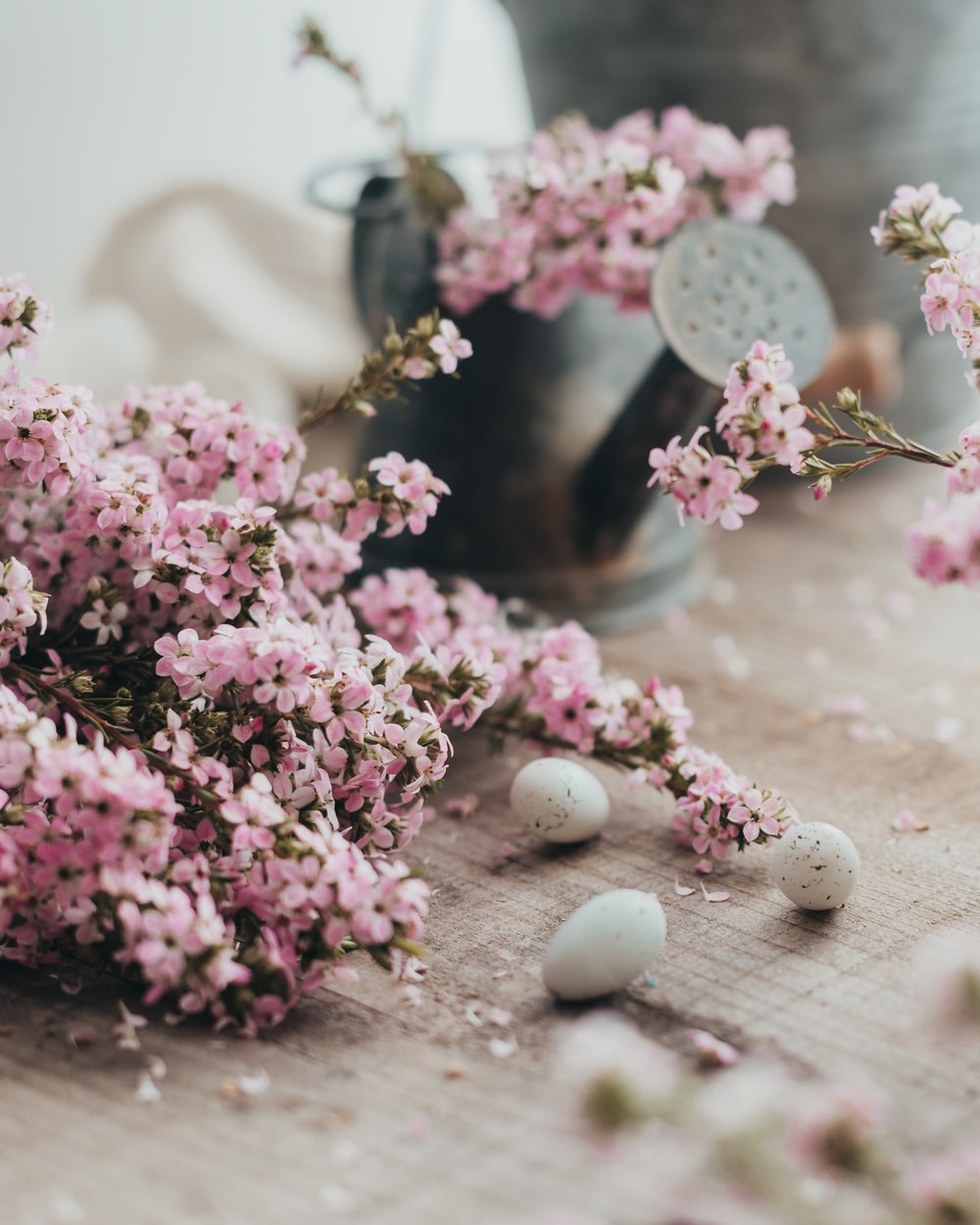 Easter Flowers Wallpapers