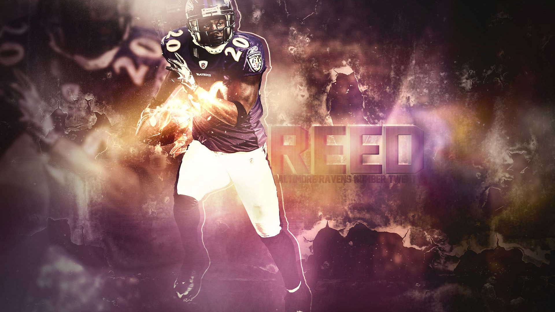 Ed Reed Wallpapers