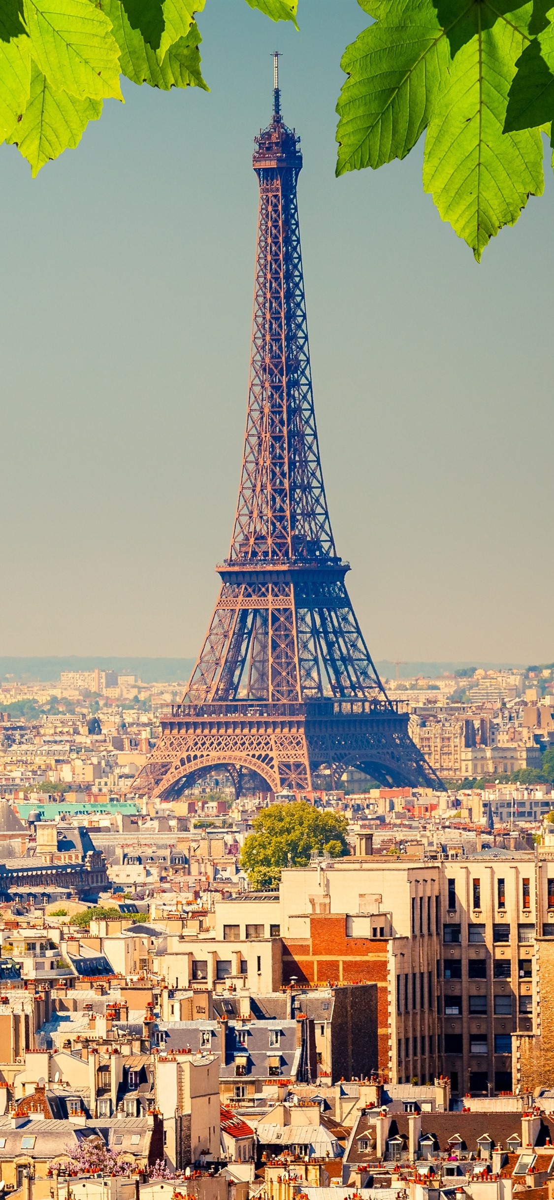 Eiffel Tower For Iphone Wallpapers