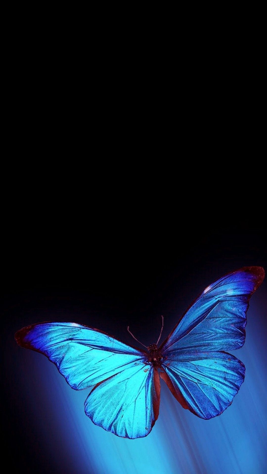 Electric Butterfly Wallpapers