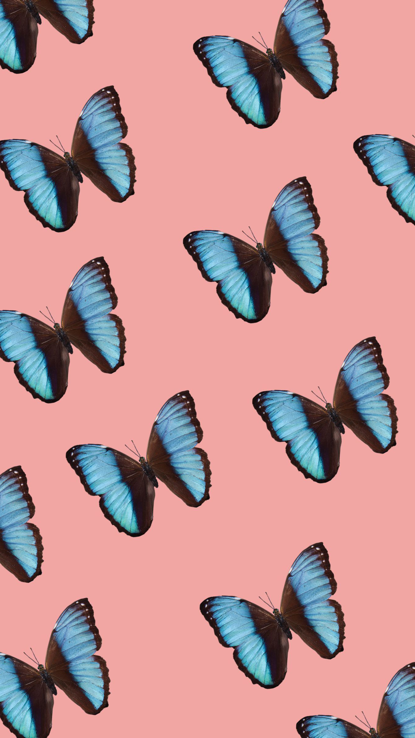 Electric Butterfly Wallpapers