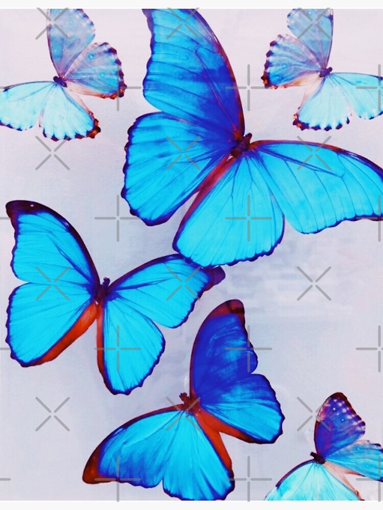 Electric Butterfly Wallpapers