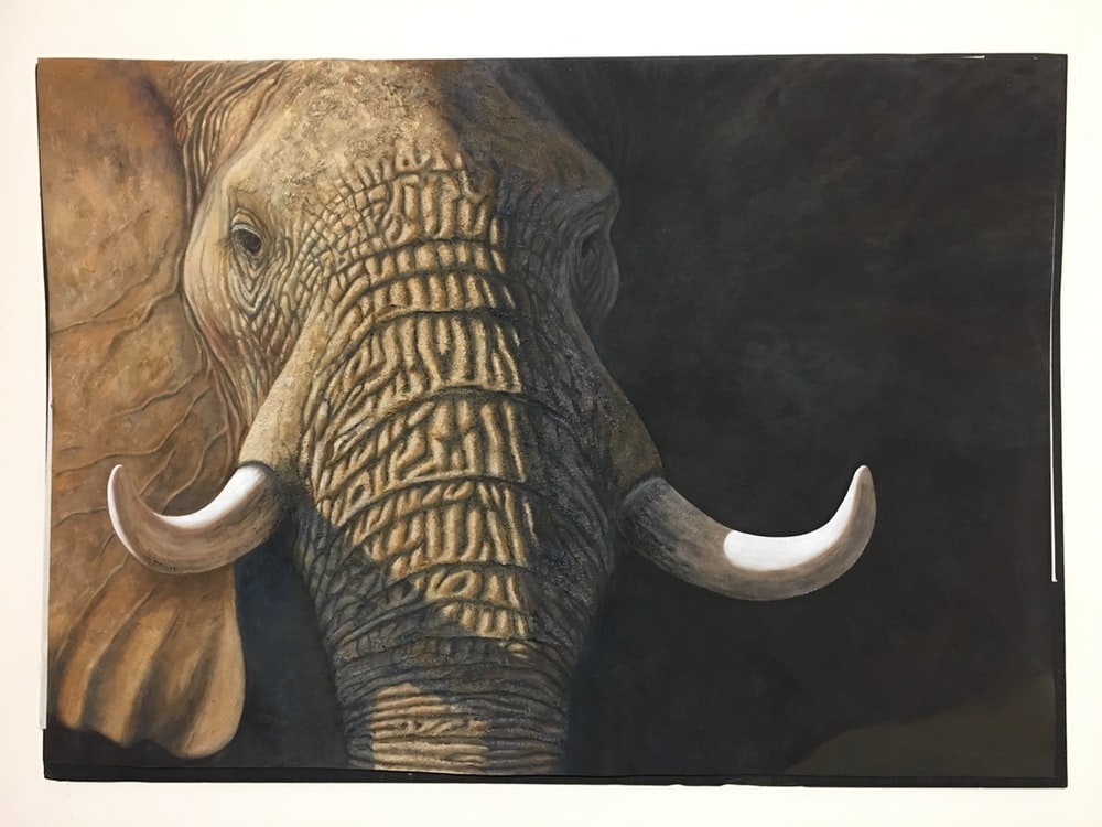 Elephant Art Wallpapers