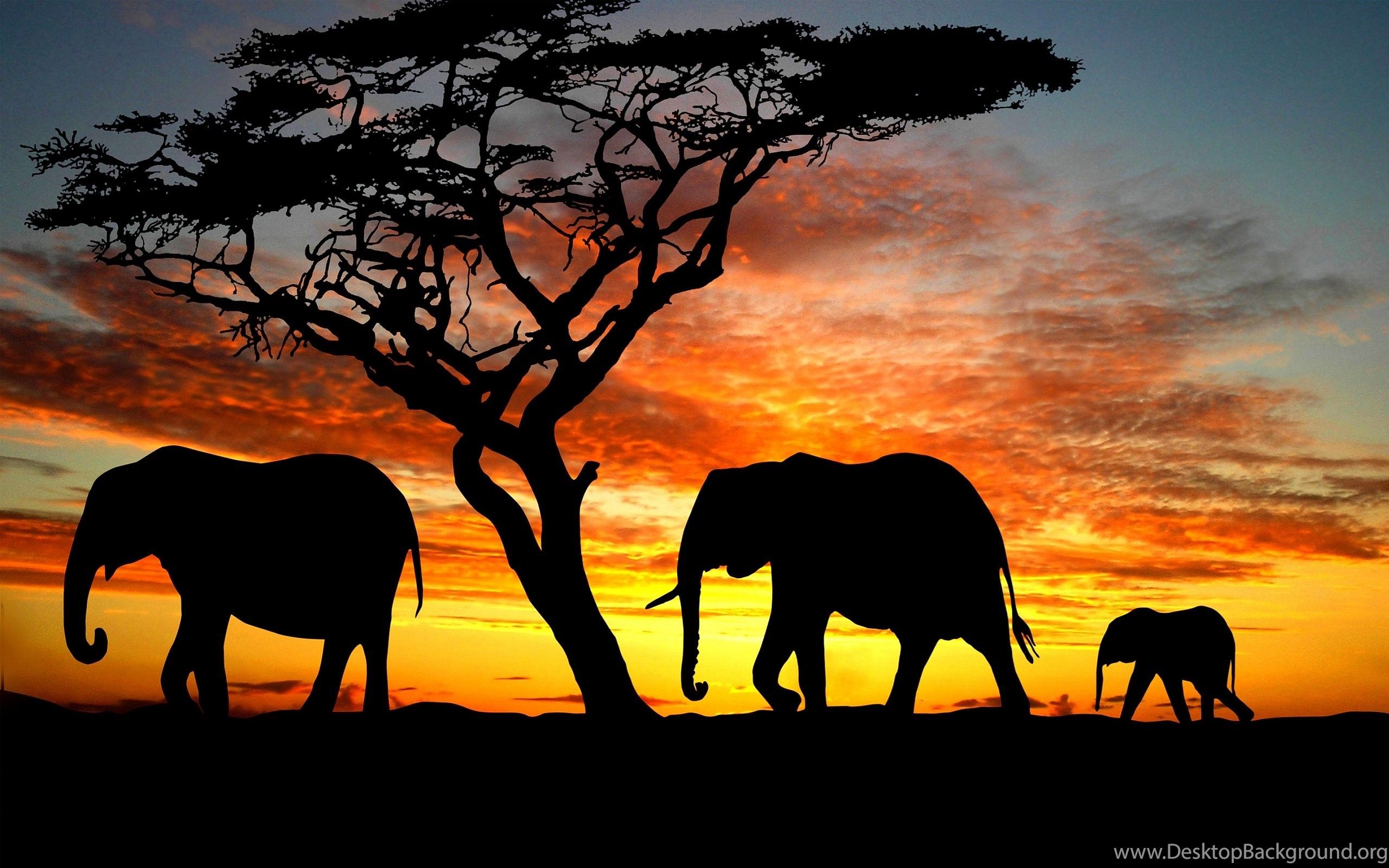 Elephant Art Wallpapers