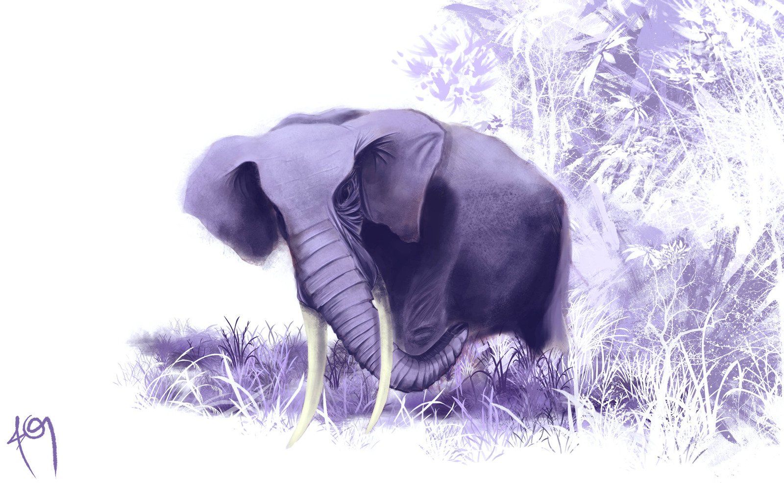 Elephant Computer Wallpapers