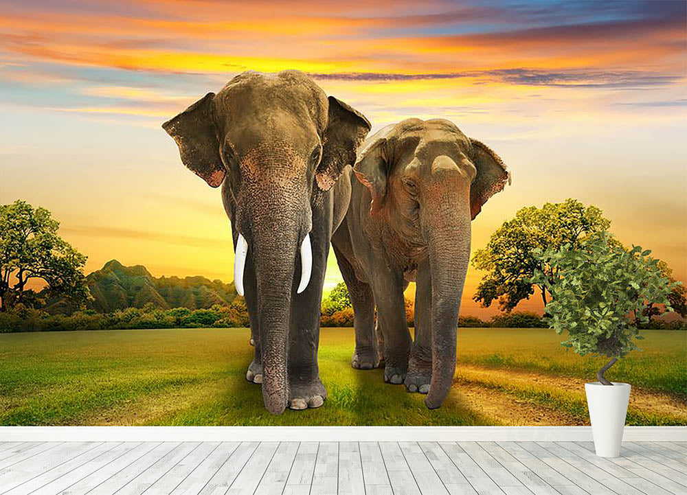 Elephant In Sunset Wallpapers