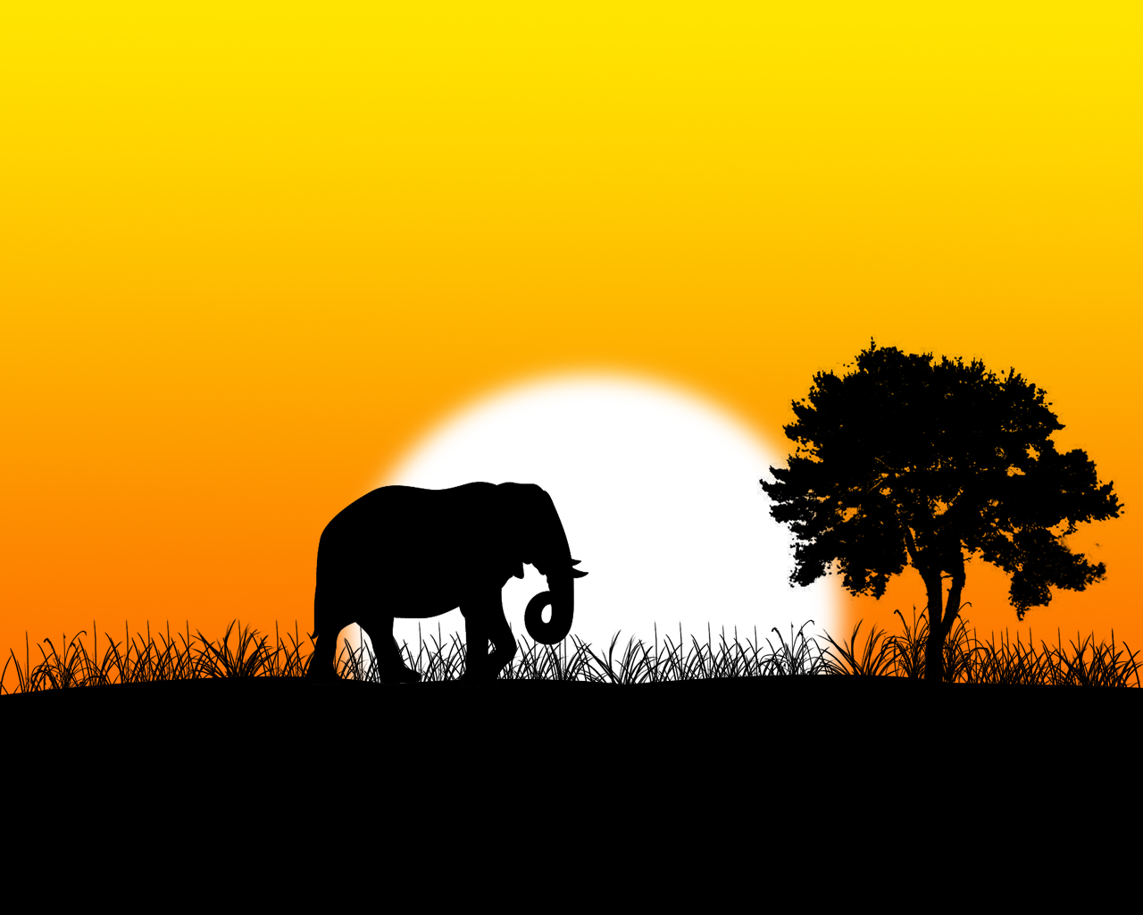 Elephant In Sunset Wallpapers