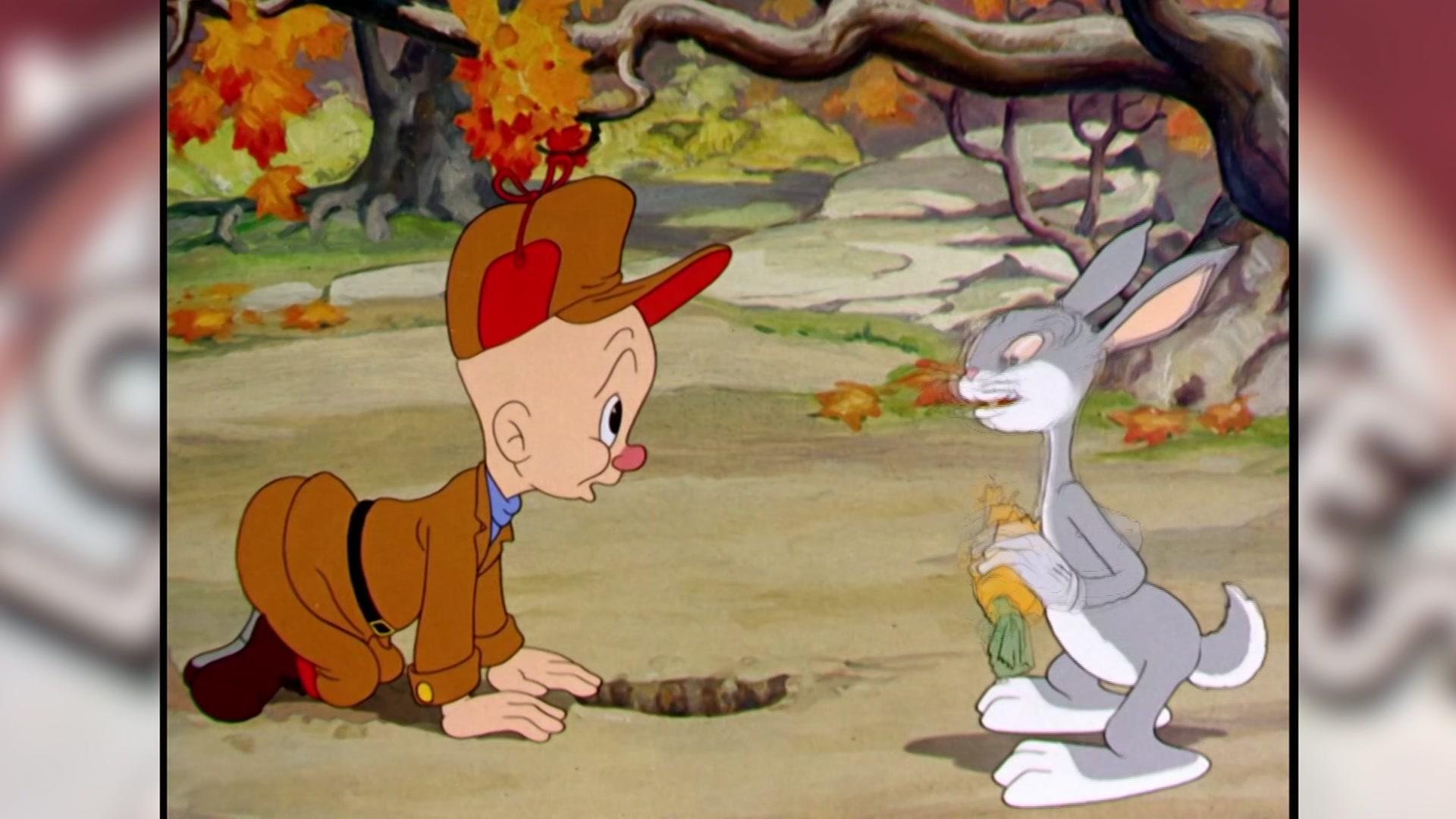 Elmer Fud Picture Wallpapers