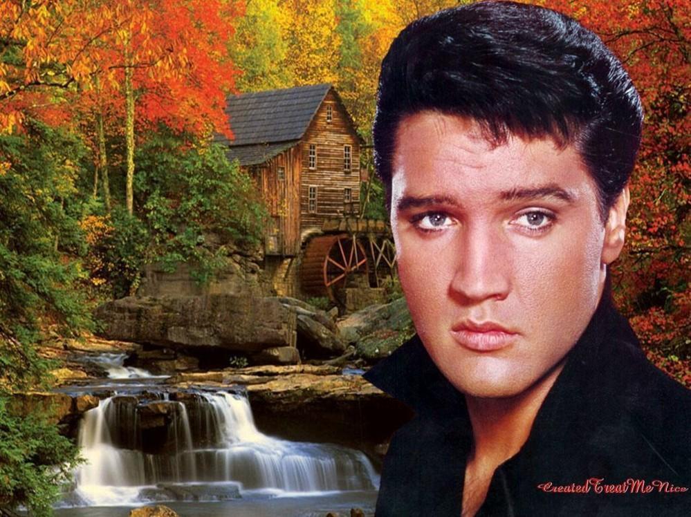 Elvis Wallpapers