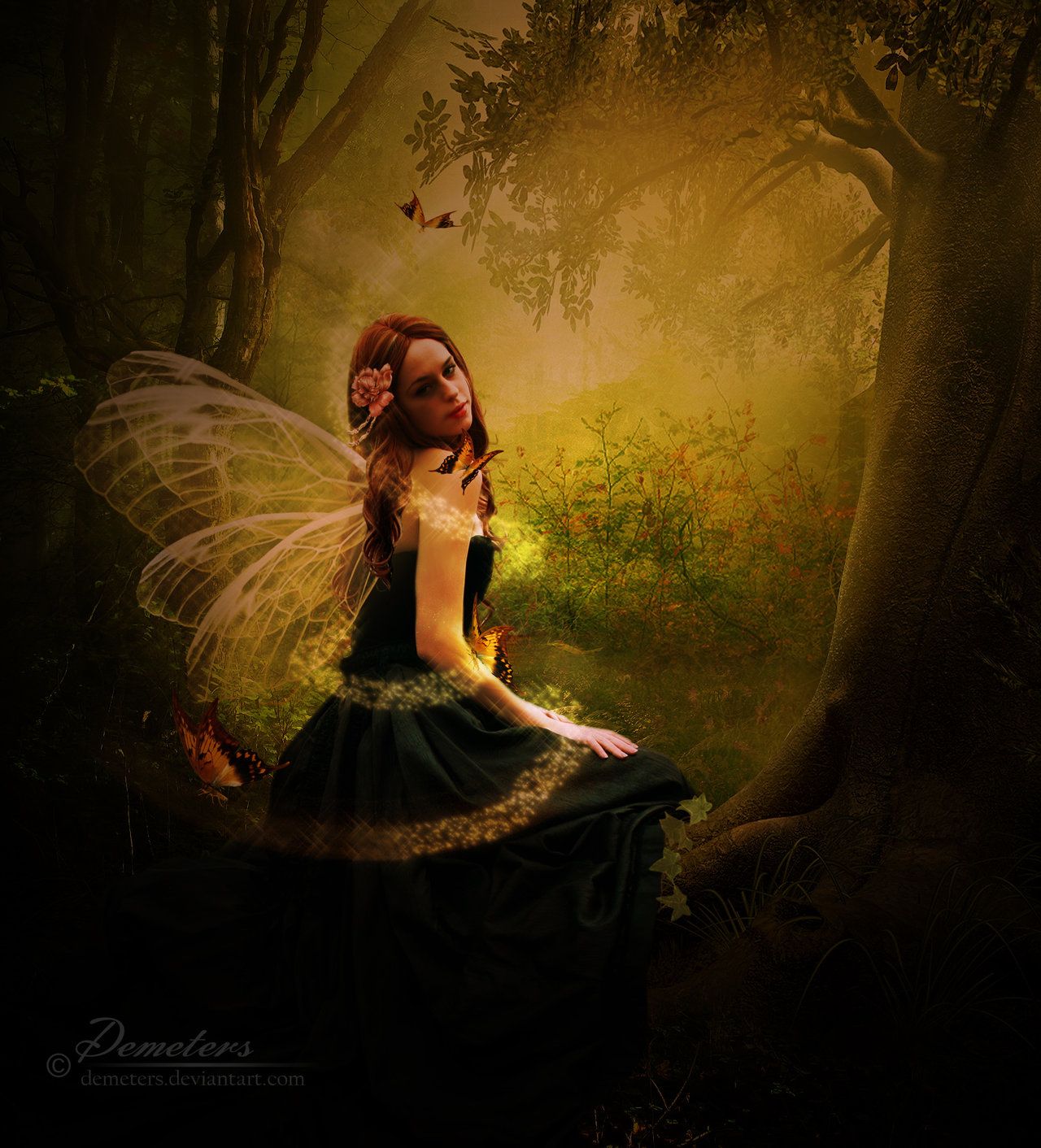 Enchanted Forest With Fairies Wallpapers