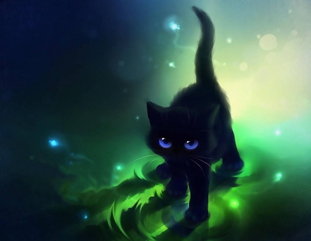 Epic Cat Wallpapers