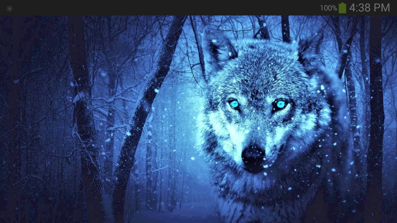 Epic Wolf Wallpapers