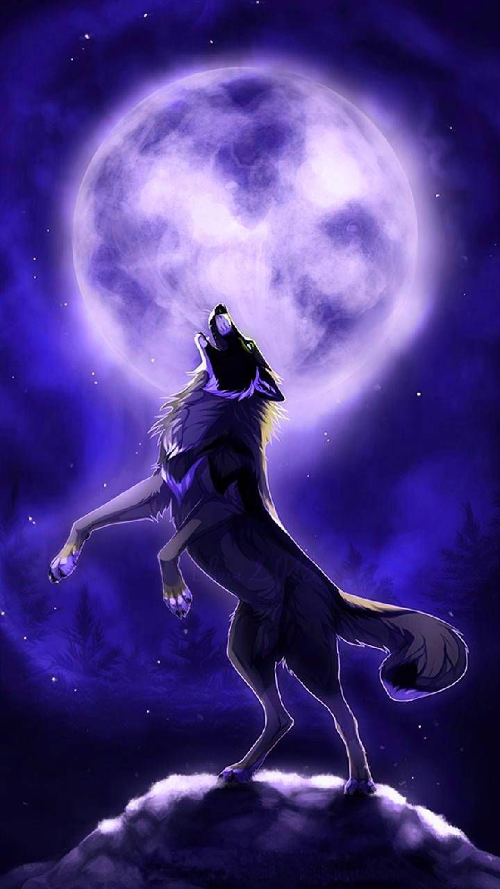 Epic Wolf Wallpapers