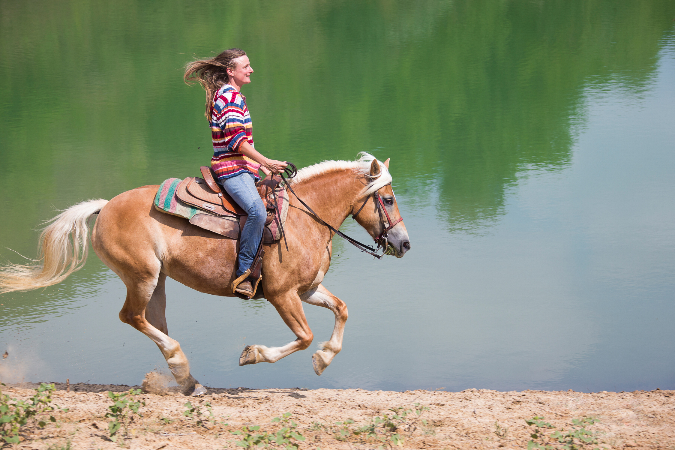 Equestrian Wallpapers