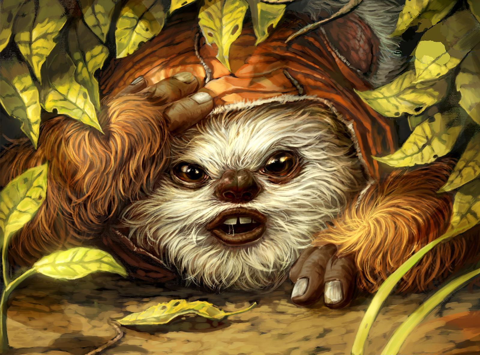 Ewok Wallpapers