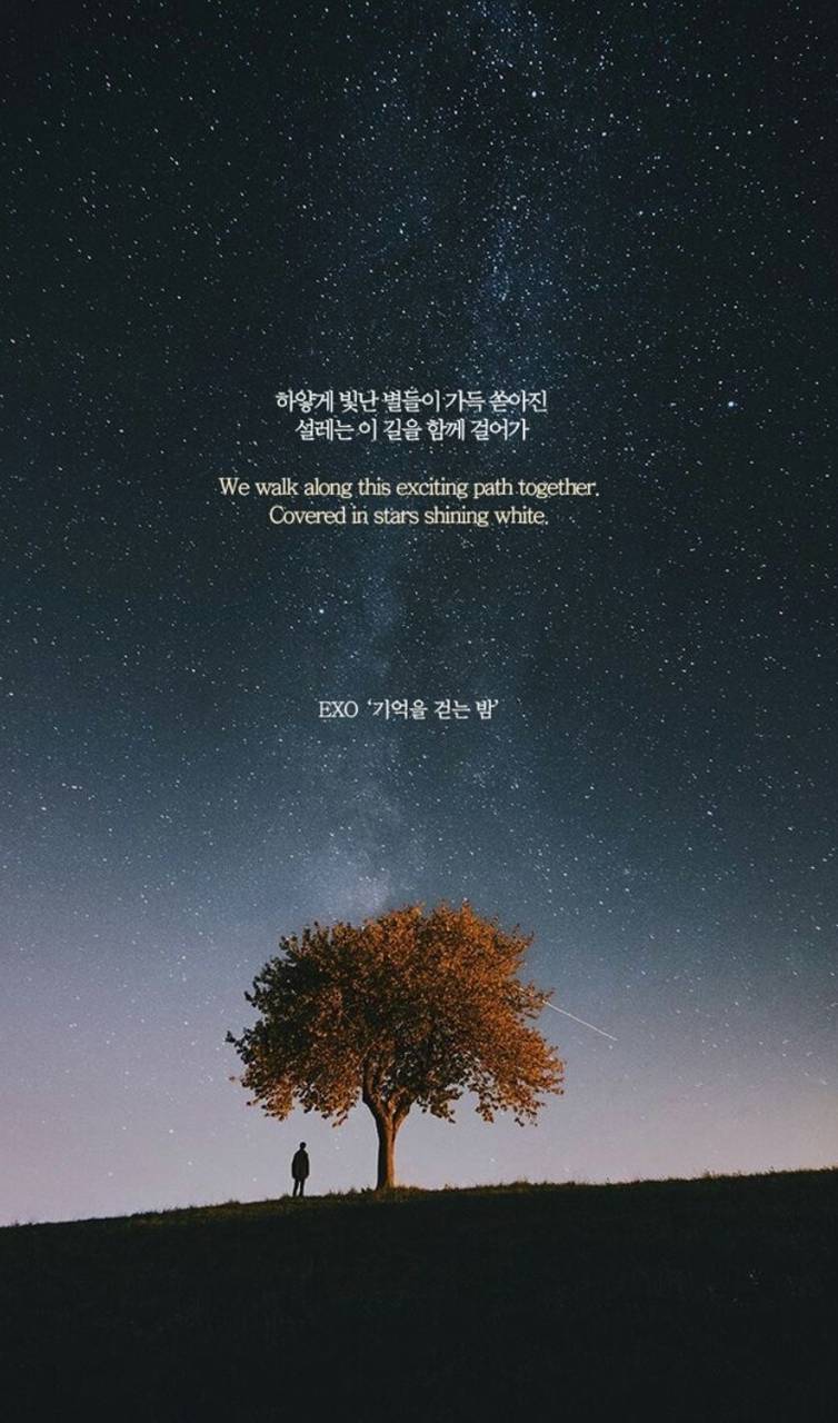 Exo Song Quotes Wallpapers