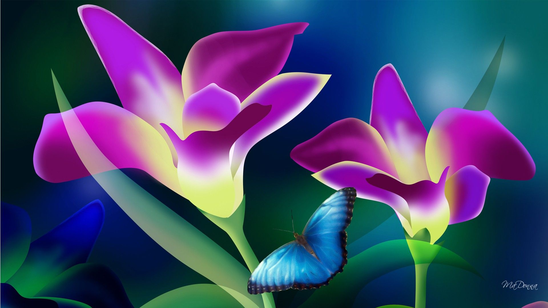 Exotic Flowers Wallpapers