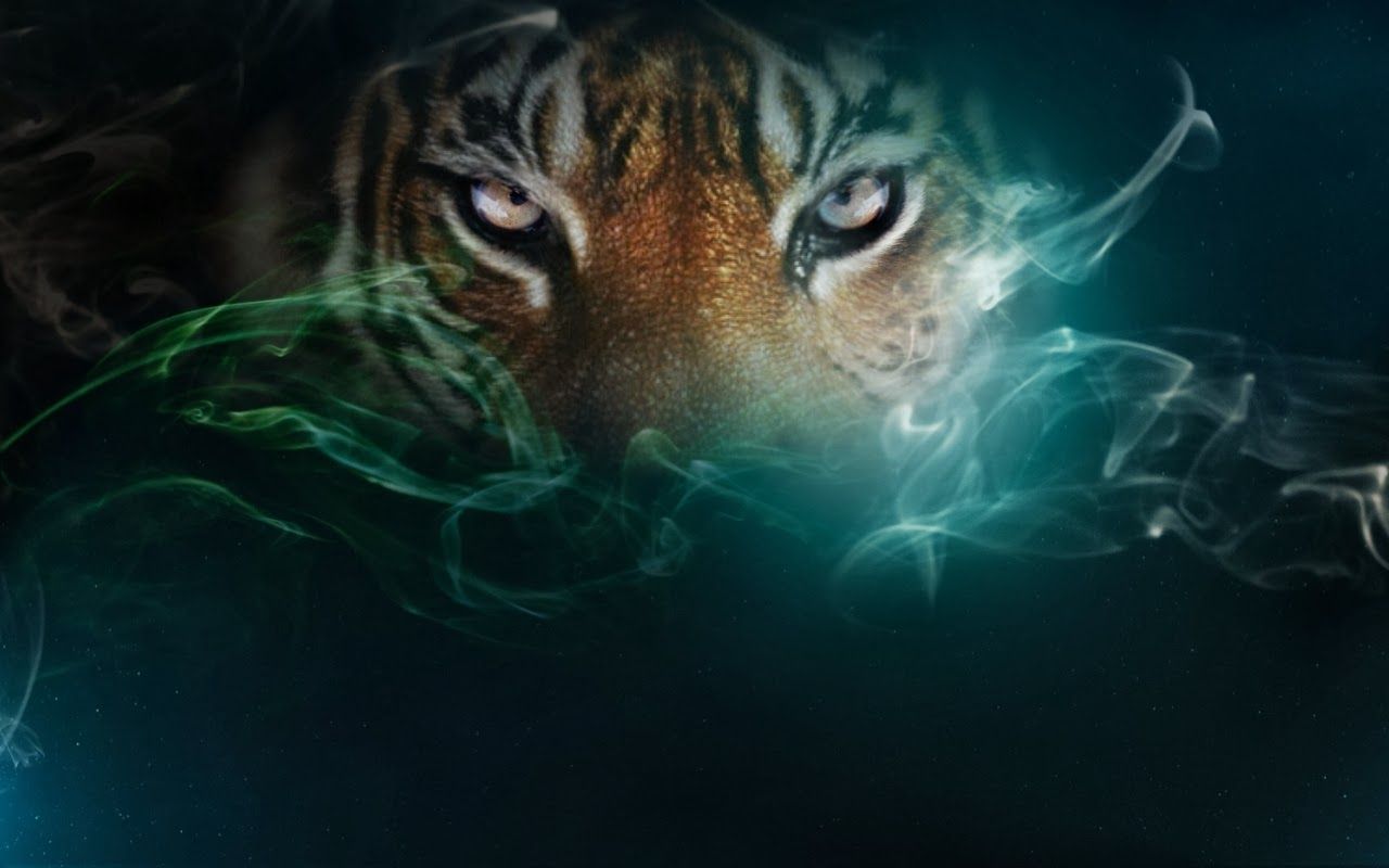 Eye Of The Tiger Wallpapers