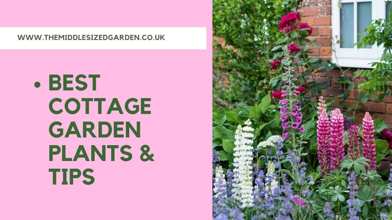 Fairytale English Cottage Garden Wallpapers