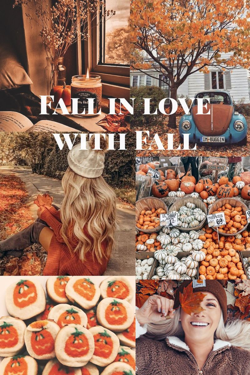 Fall Collage Wallpapers