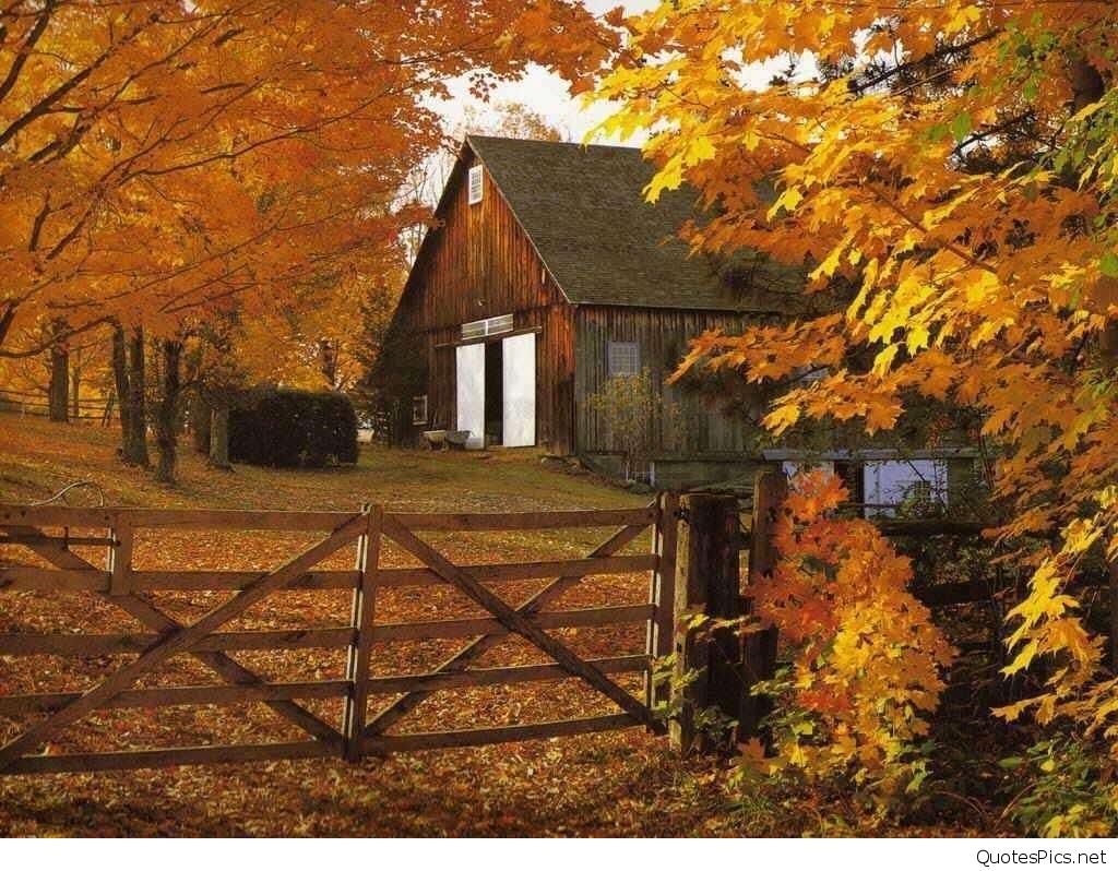 Fall Farmhouse Wallpapers