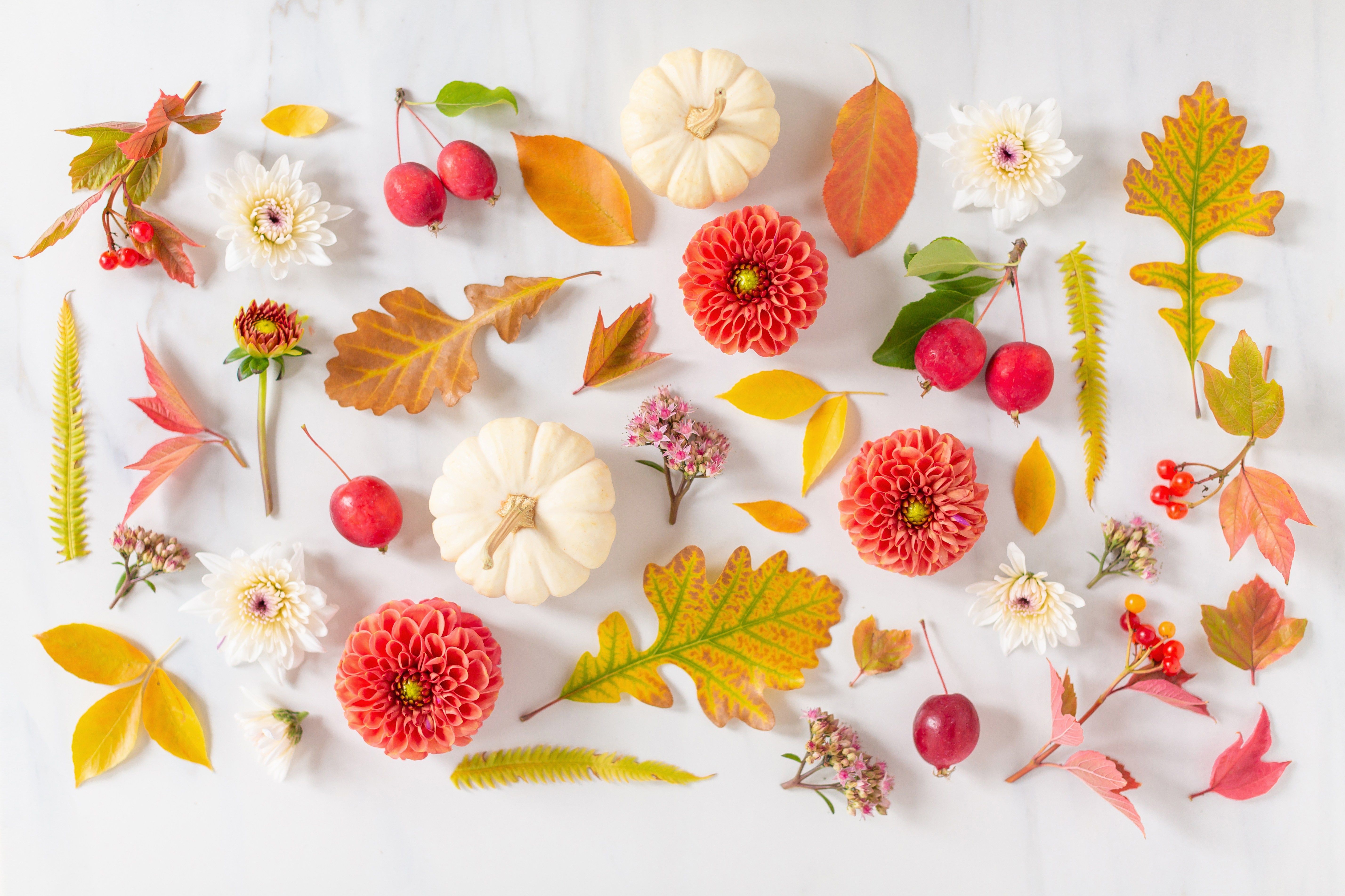 Fall Floral Desktop Wallpapers