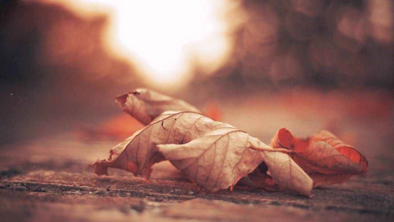 Fall Hipster Wallpapers