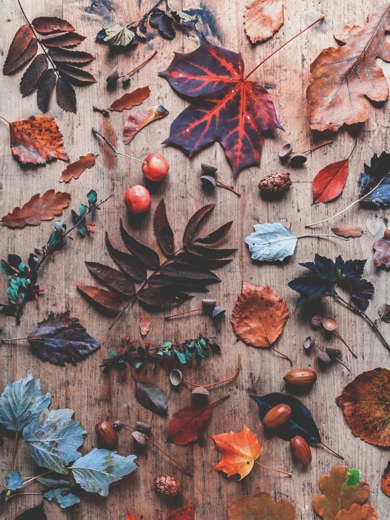 Fall Hipster Wallpapers