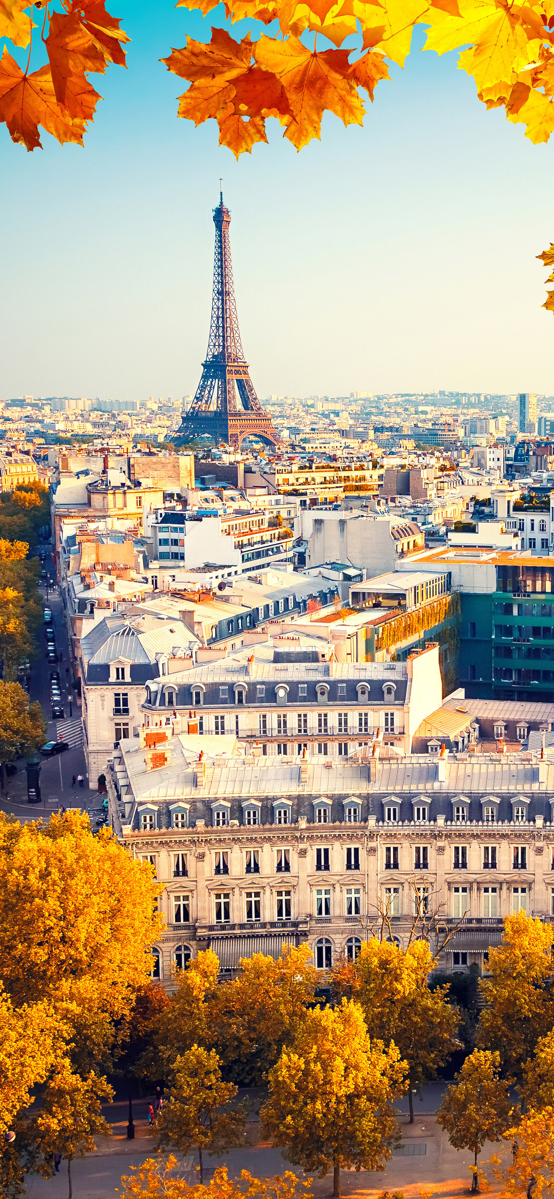 Fall In Paris Wallpapers