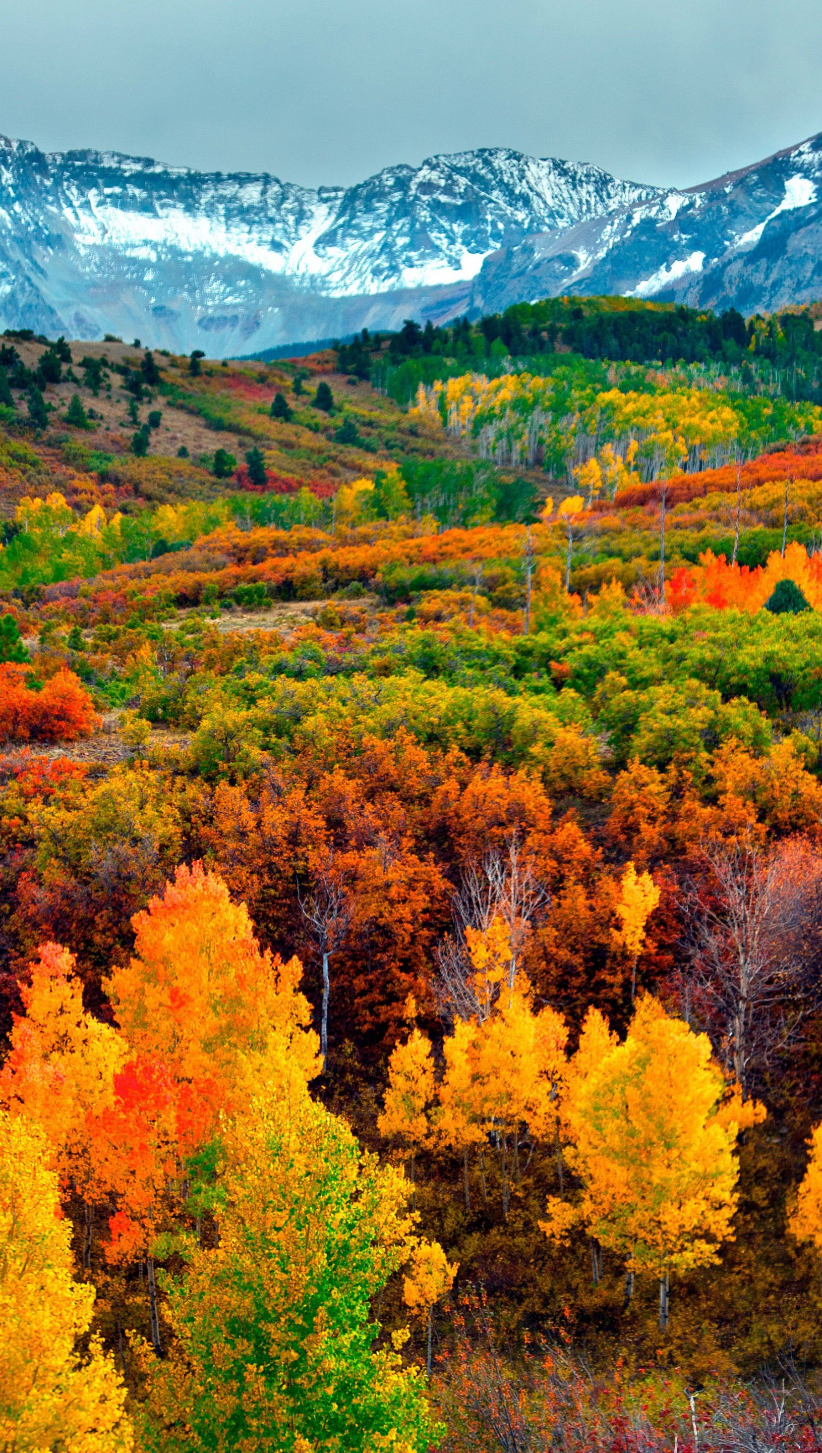 Fall Mountains Wallpapers